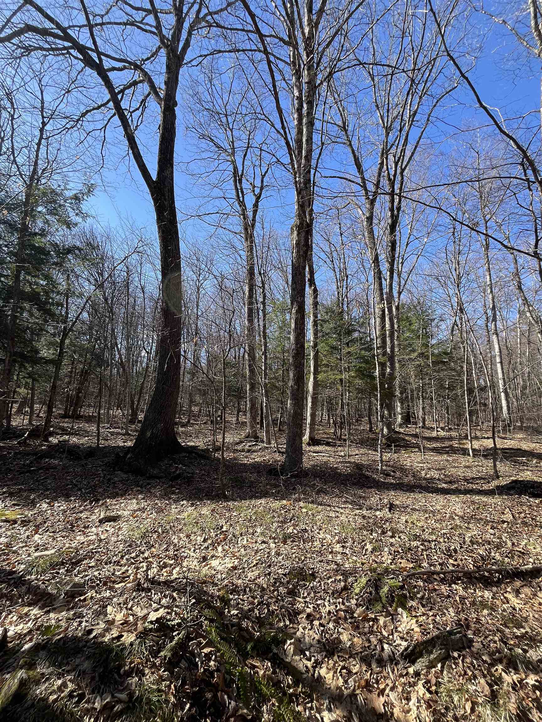 Columbus Jordan Rd, Plainfield, NH 03781
