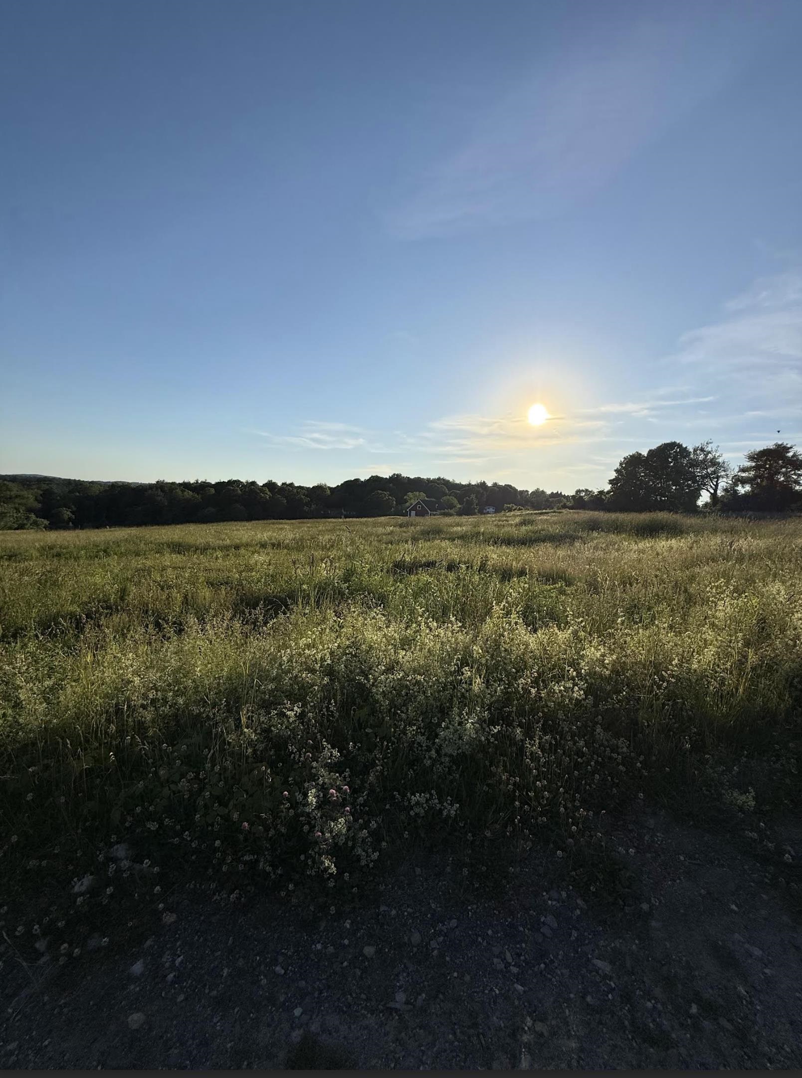 31 Pasture Ln, Pelham, NH 03076