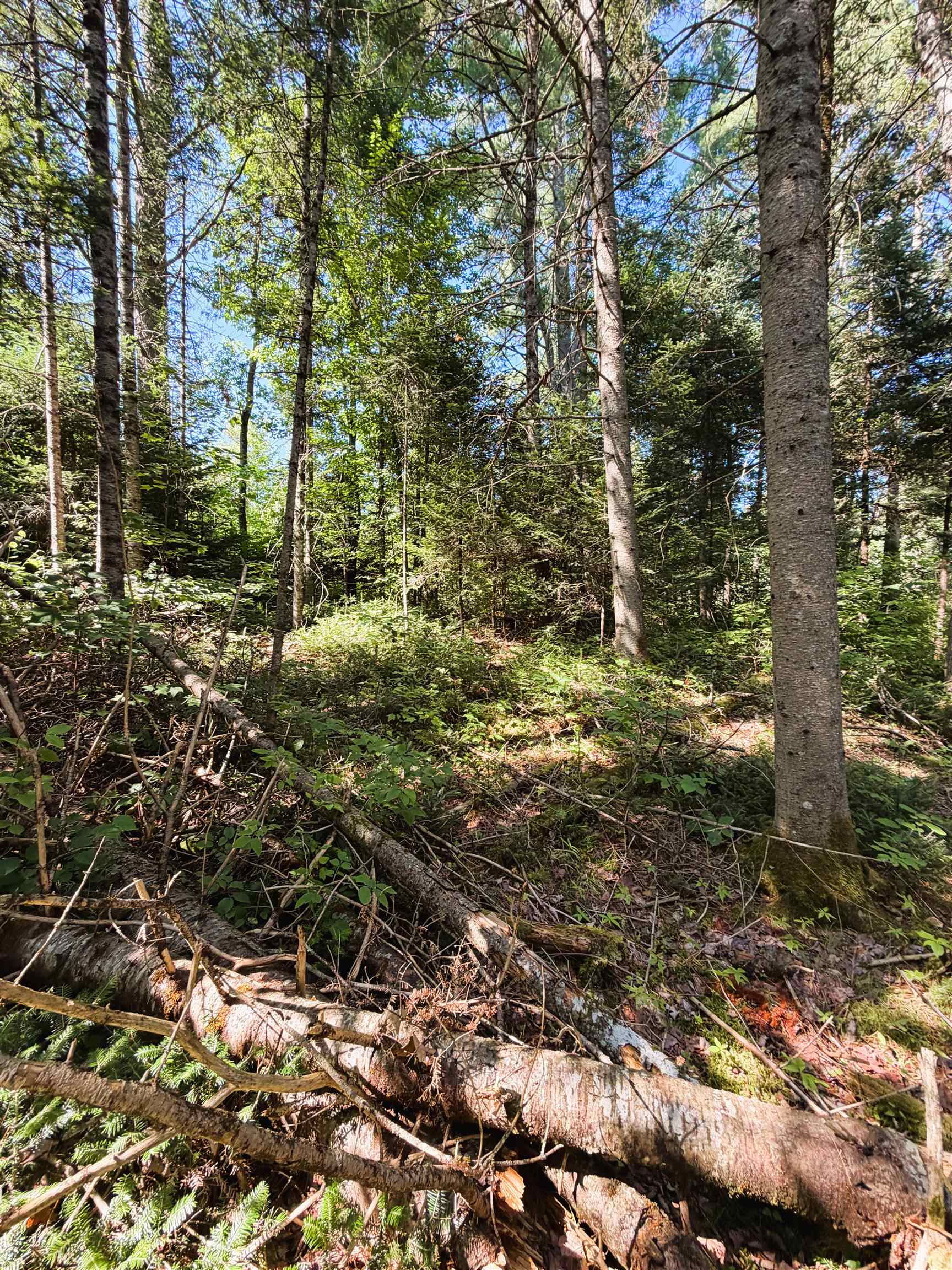 Parker Rd, Whitefield, NH 03598