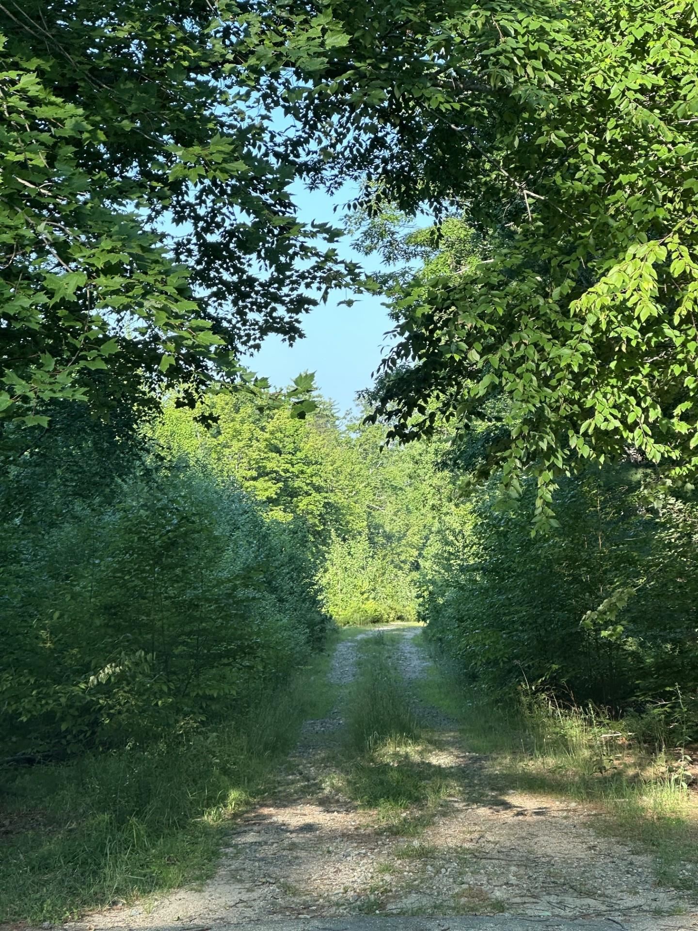 00 Bryant Heights Rd, Tamworth, NH 03886