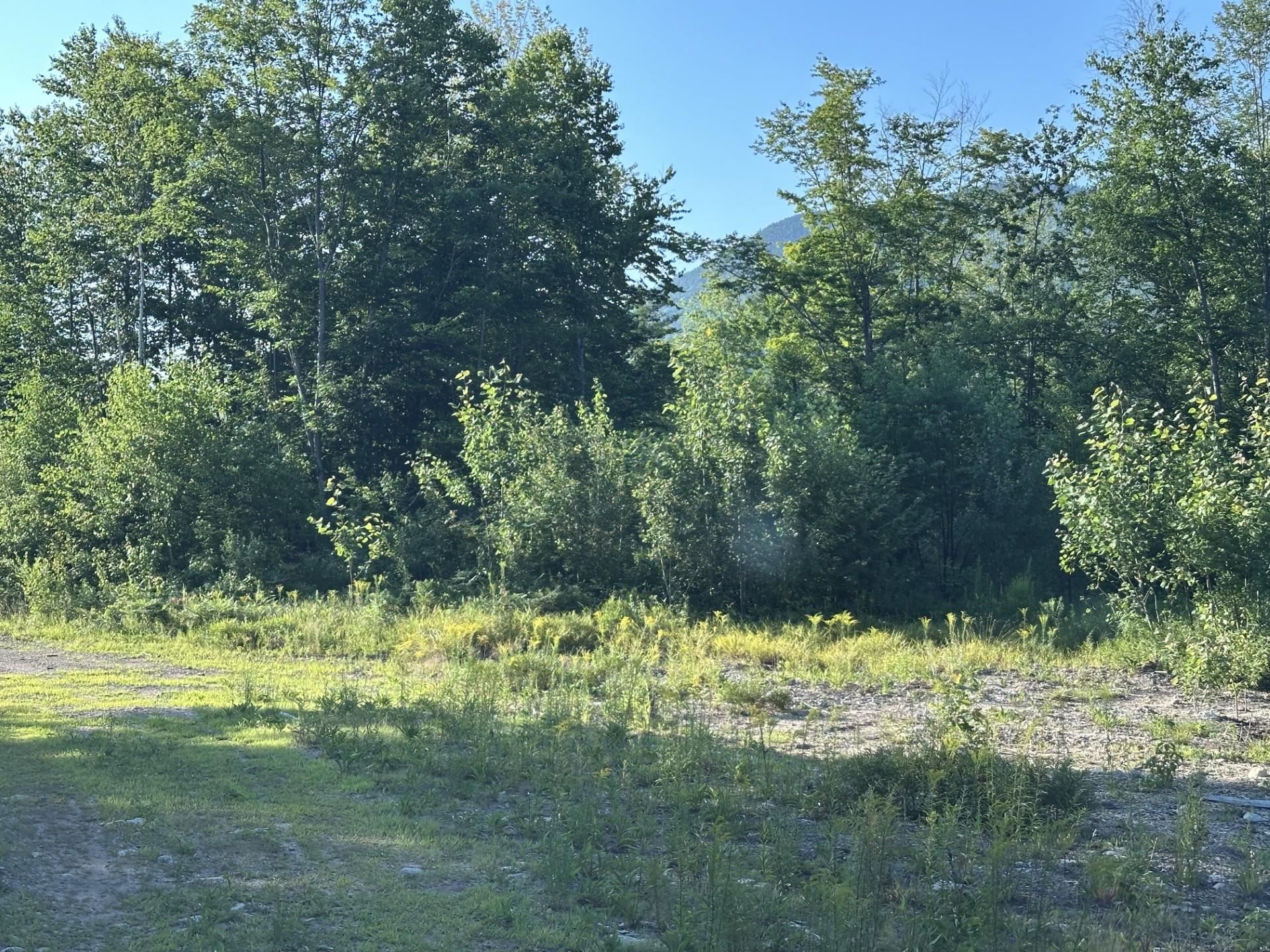 00 Bryant Heights Rd, Tamworth, NH 03886