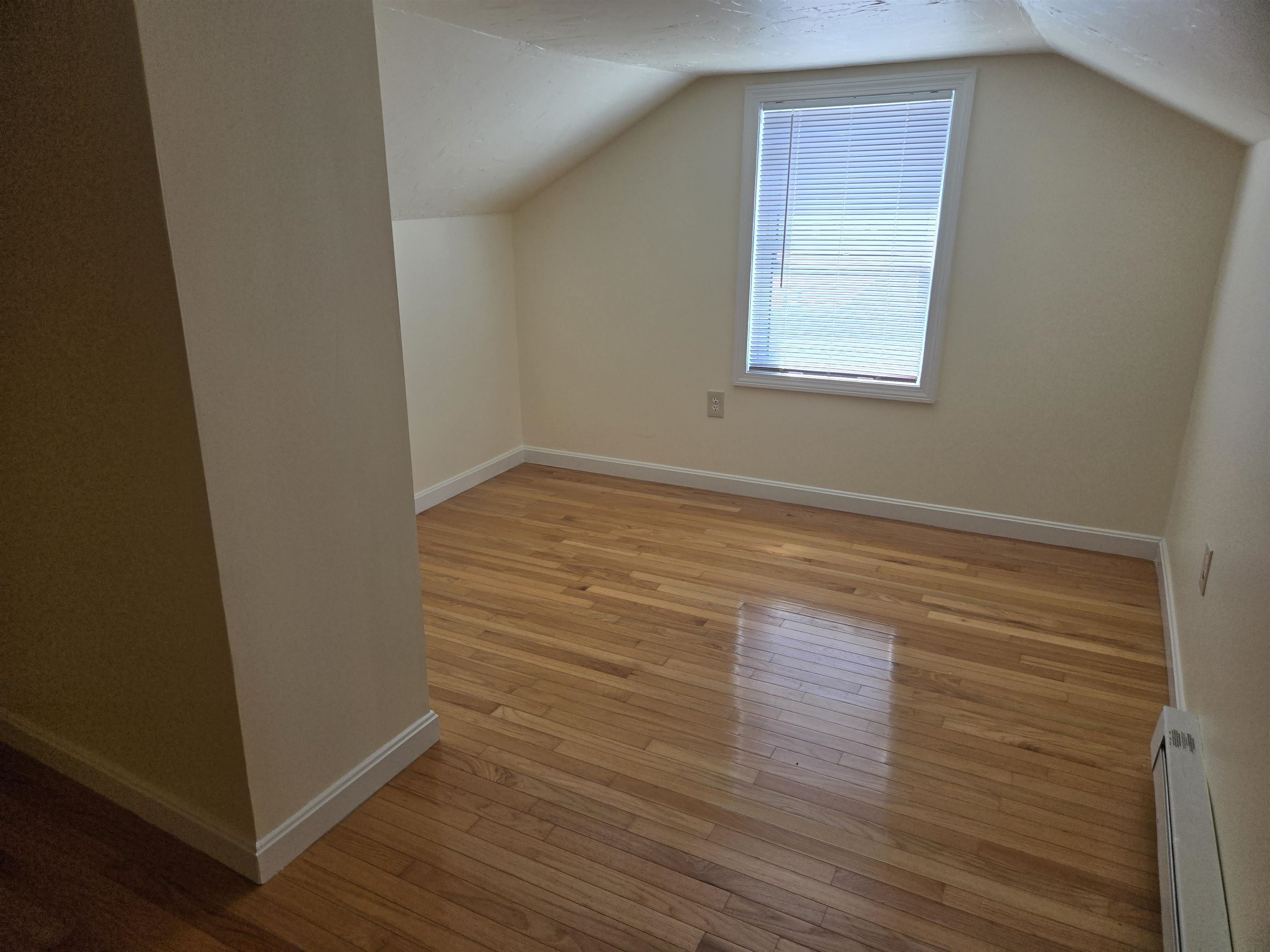 Large Attic Bonus Room