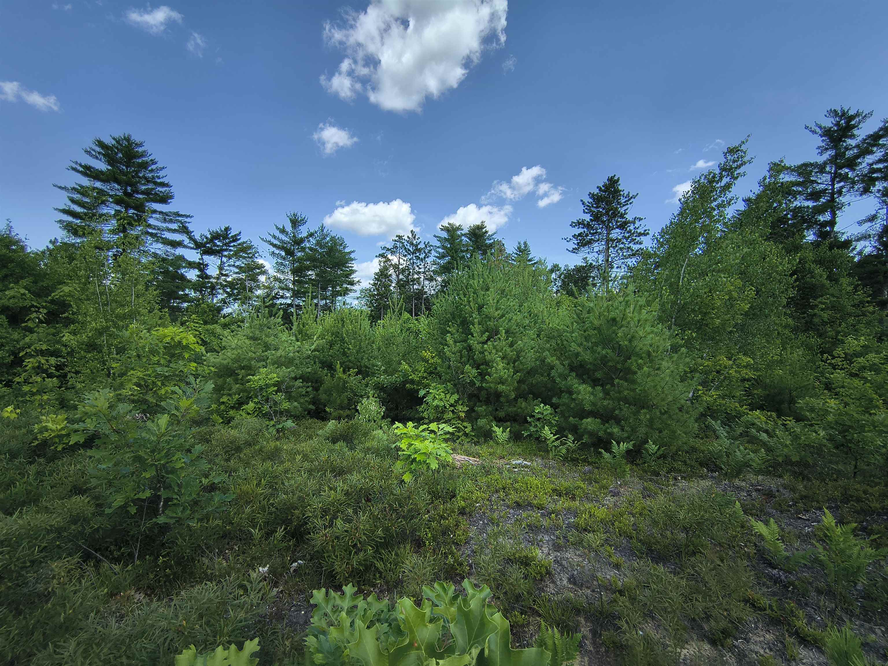 Hall Rd Lot 17 & 18, Canterbury, NH 03224