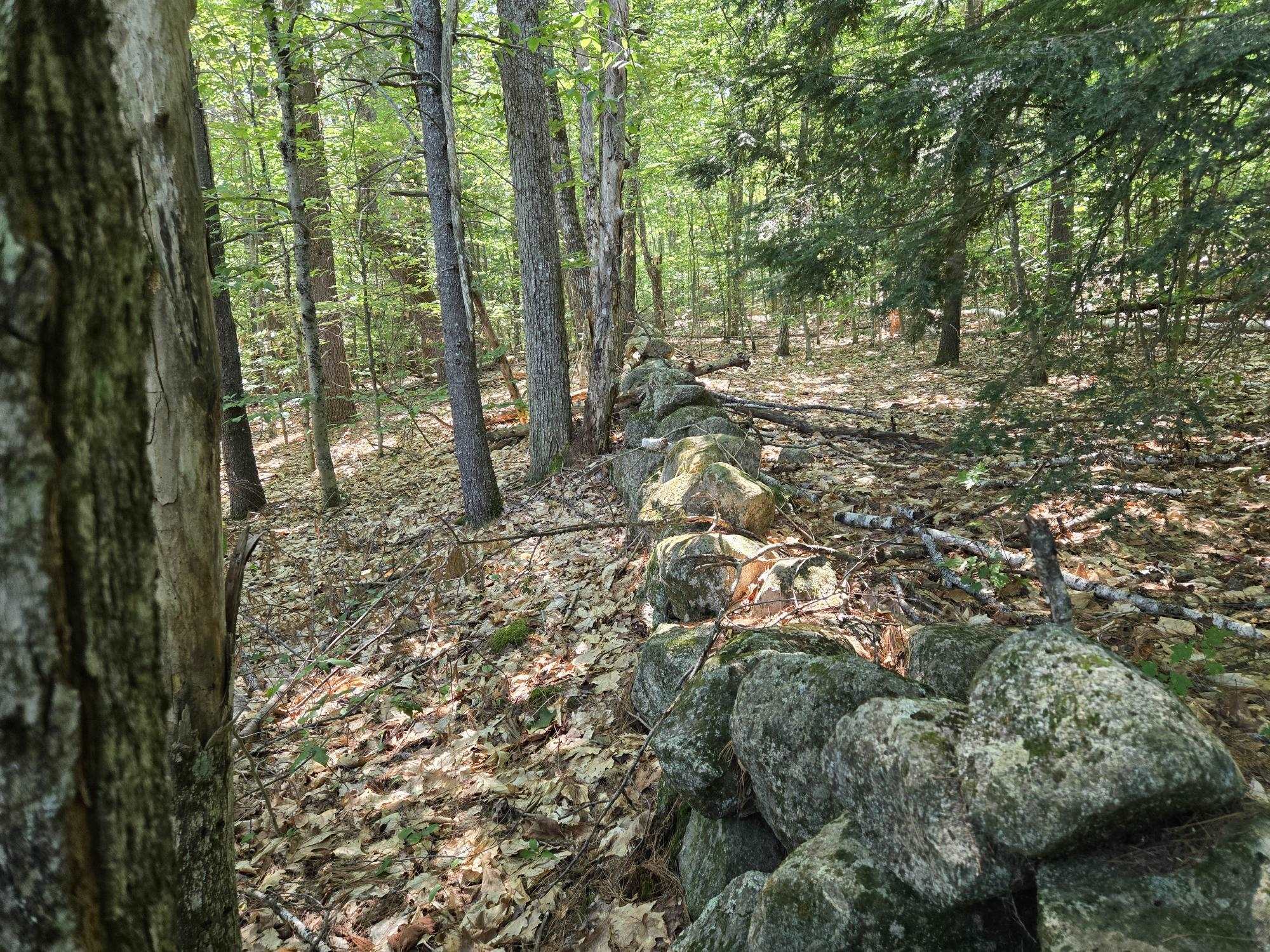Lot 28 Davis Hill Rd, Conway, NH 03813