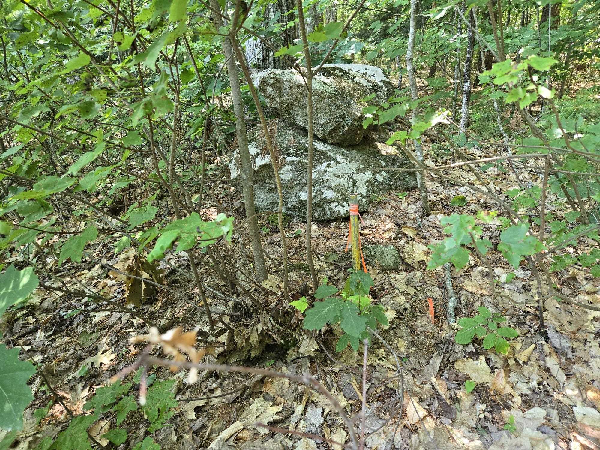 Lot 28 Davis Hill Rd, Conway, NH 03813