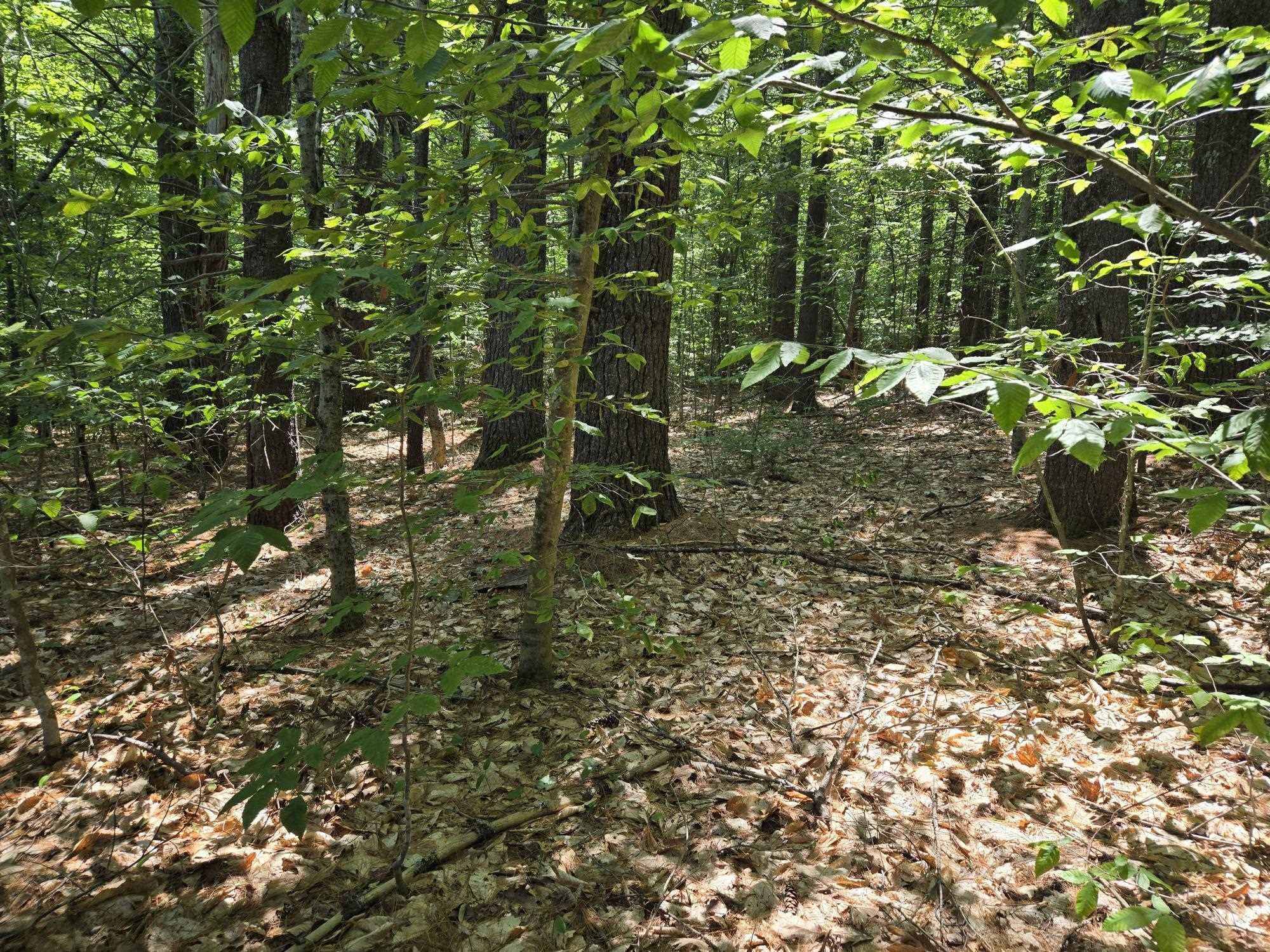 Lot 28 Davis Hill Rd, Conway, NH 03813