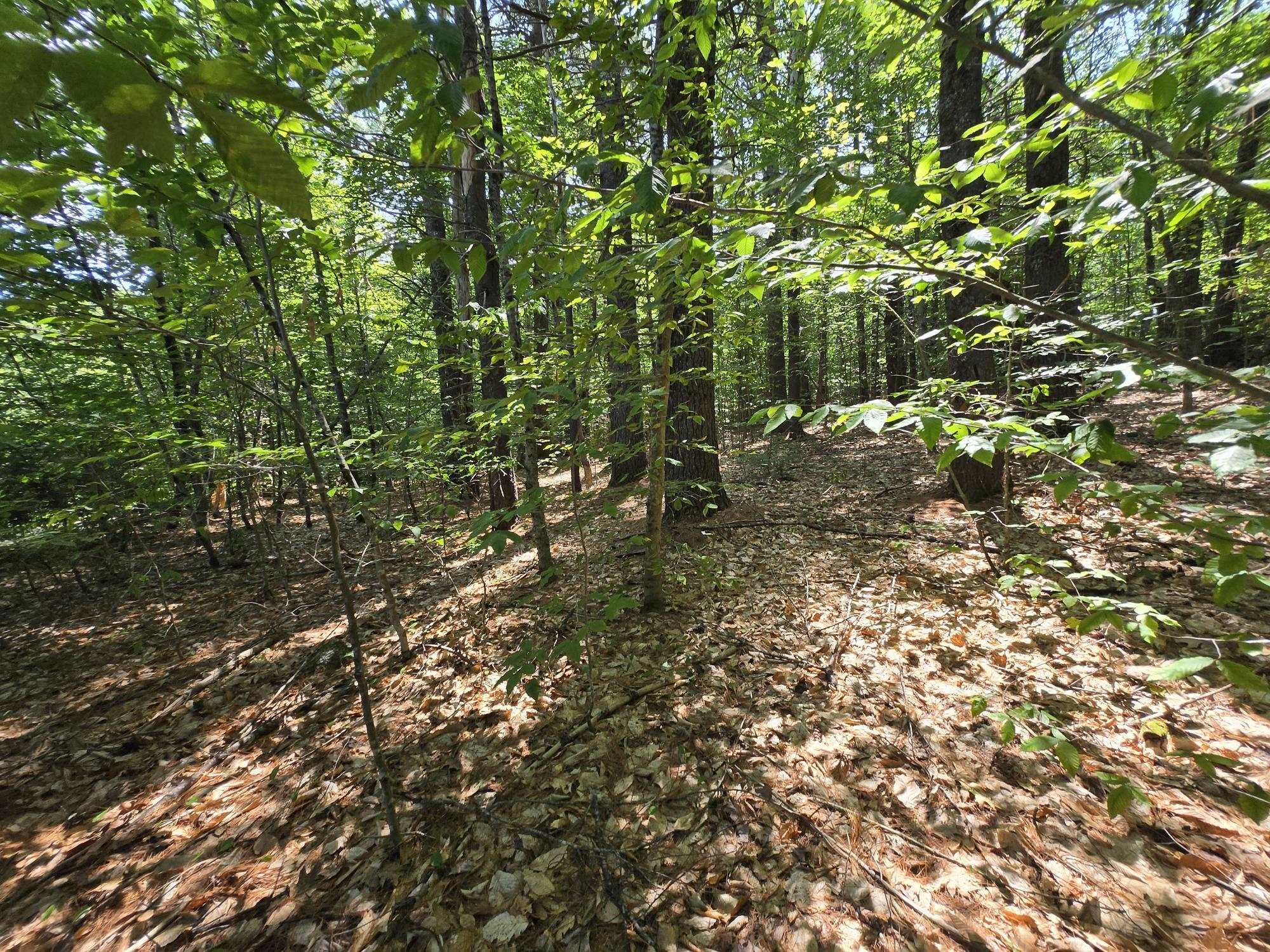 Lot 27 Davis Hill Rd, Conway, NH 03813
