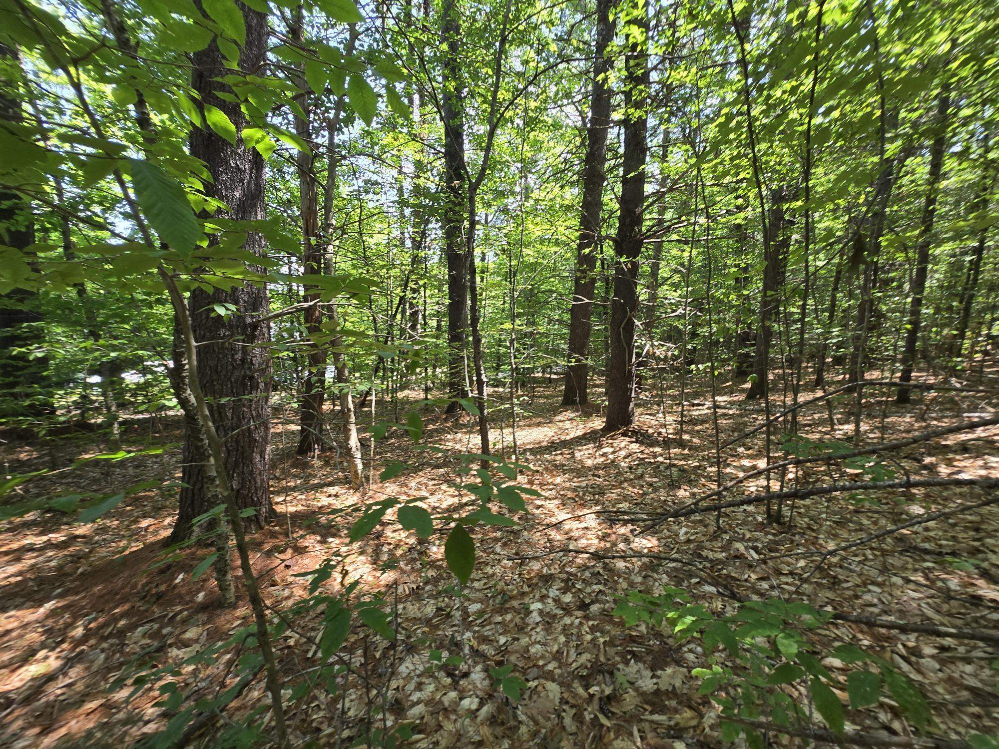 Lot 27 Davis Hill Rd, Conway, NH 03813