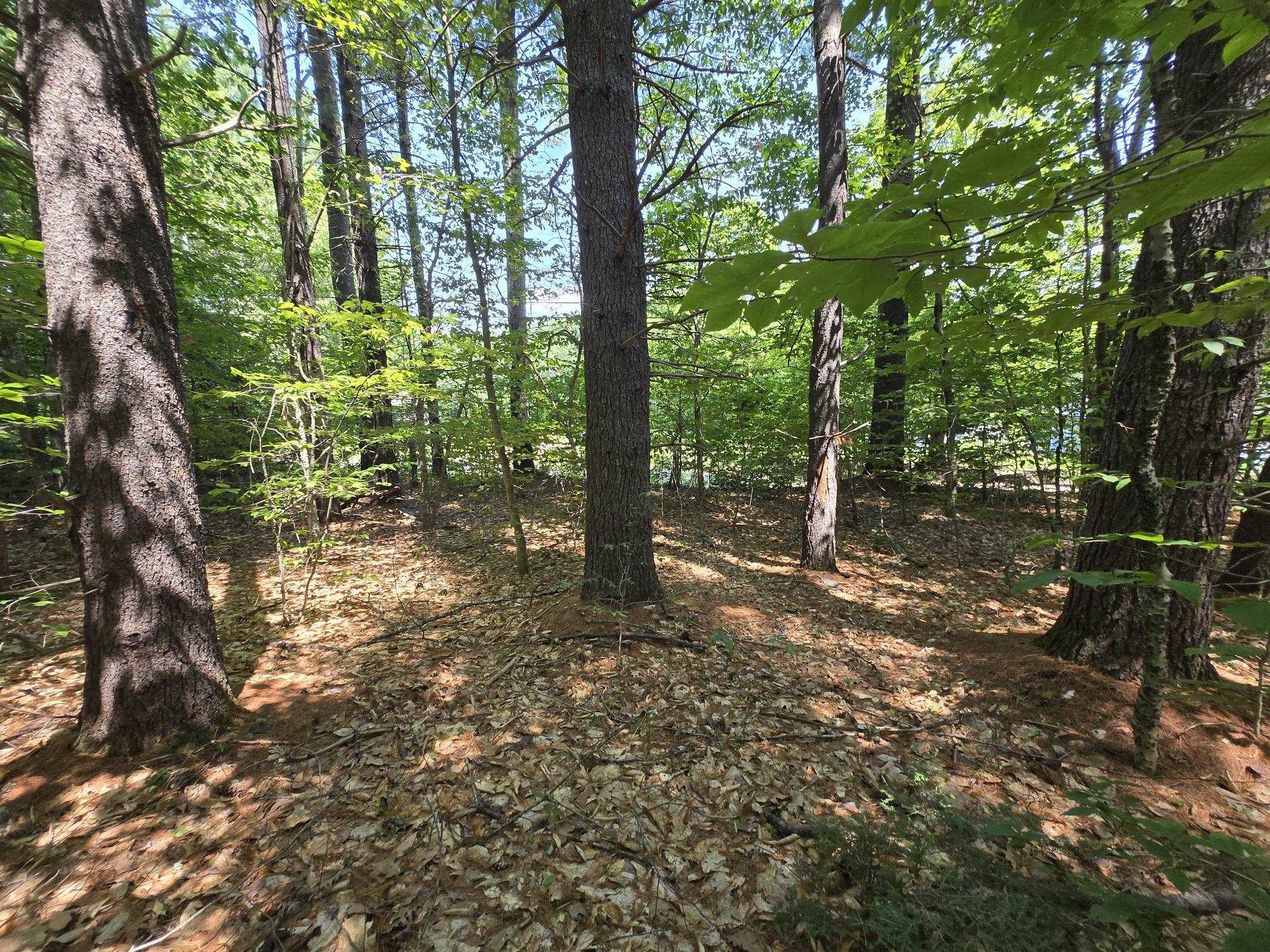 Lot 27 Davis Hill Rd, Conway, NH 03813