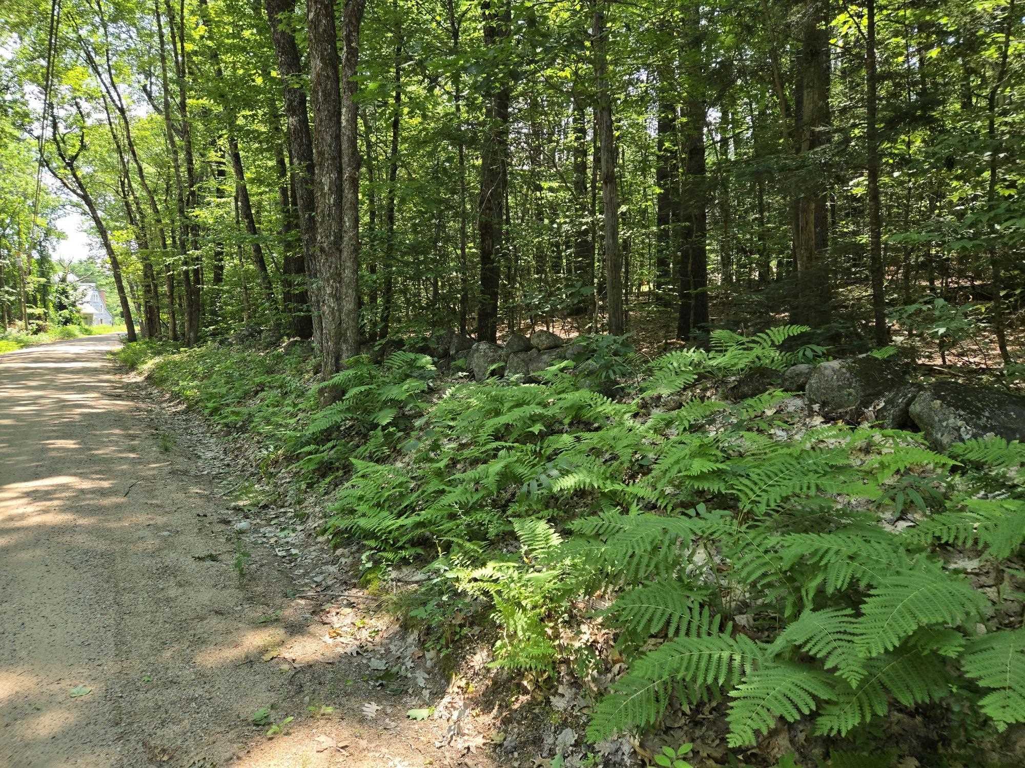 Lot 26 Davis Hill Rd, Conway, NH 03813