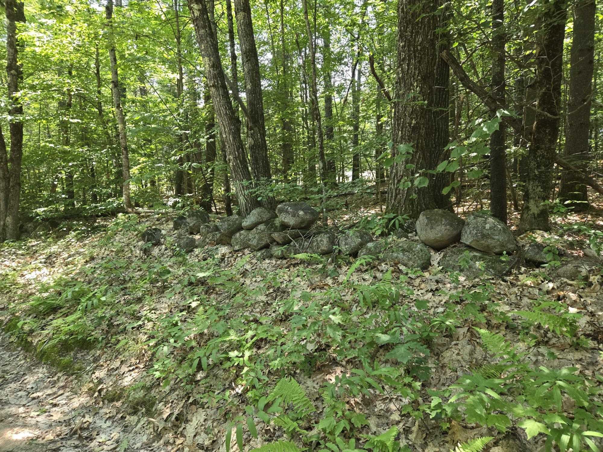 Lot 26 Davis Hill Rd, Conway, NH 03813