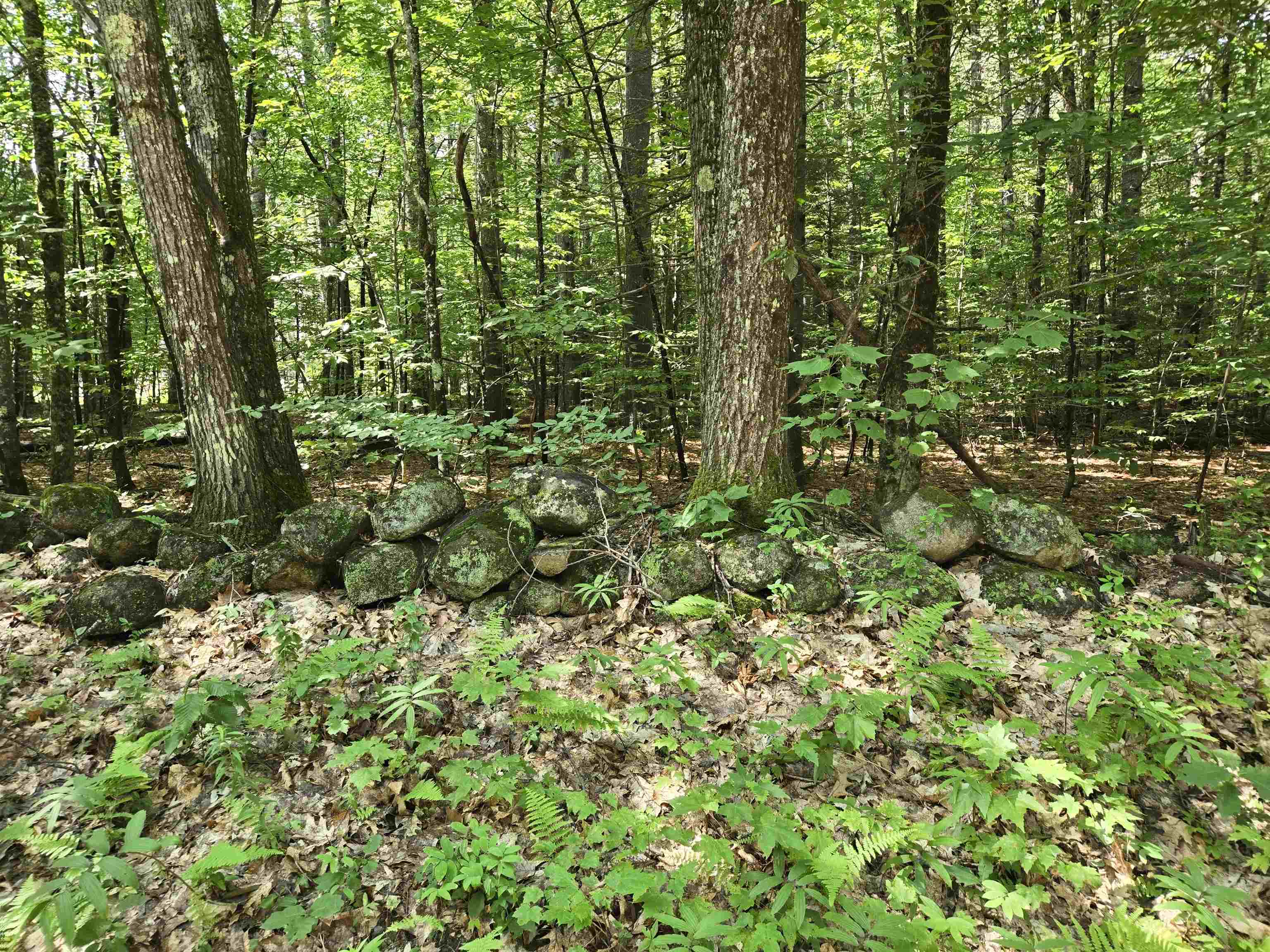 Lot 26 Davis Hill Rd, Conway, NH 03813