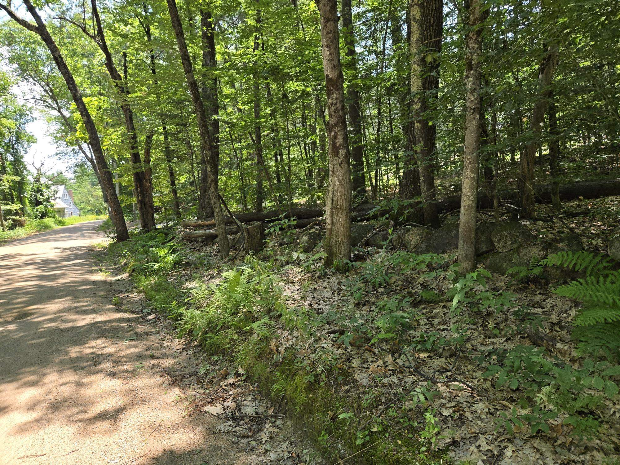 Lot 26 Davis Hill Rd, Conway, NH 03813