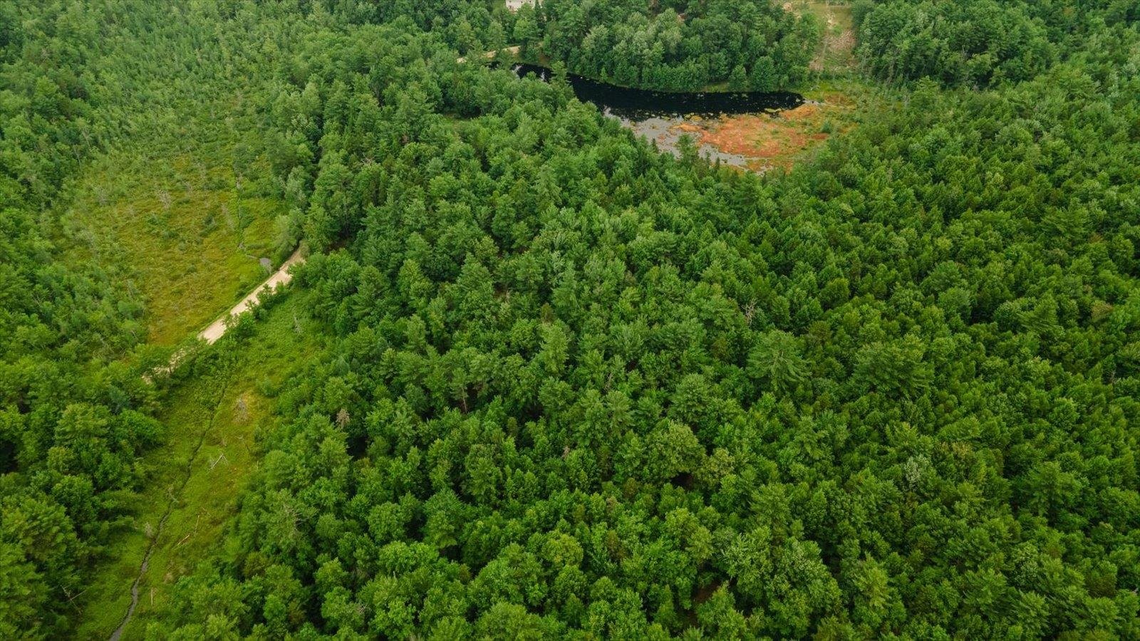 Lot 0 Pine Rd, New Ipswich, NH 03071