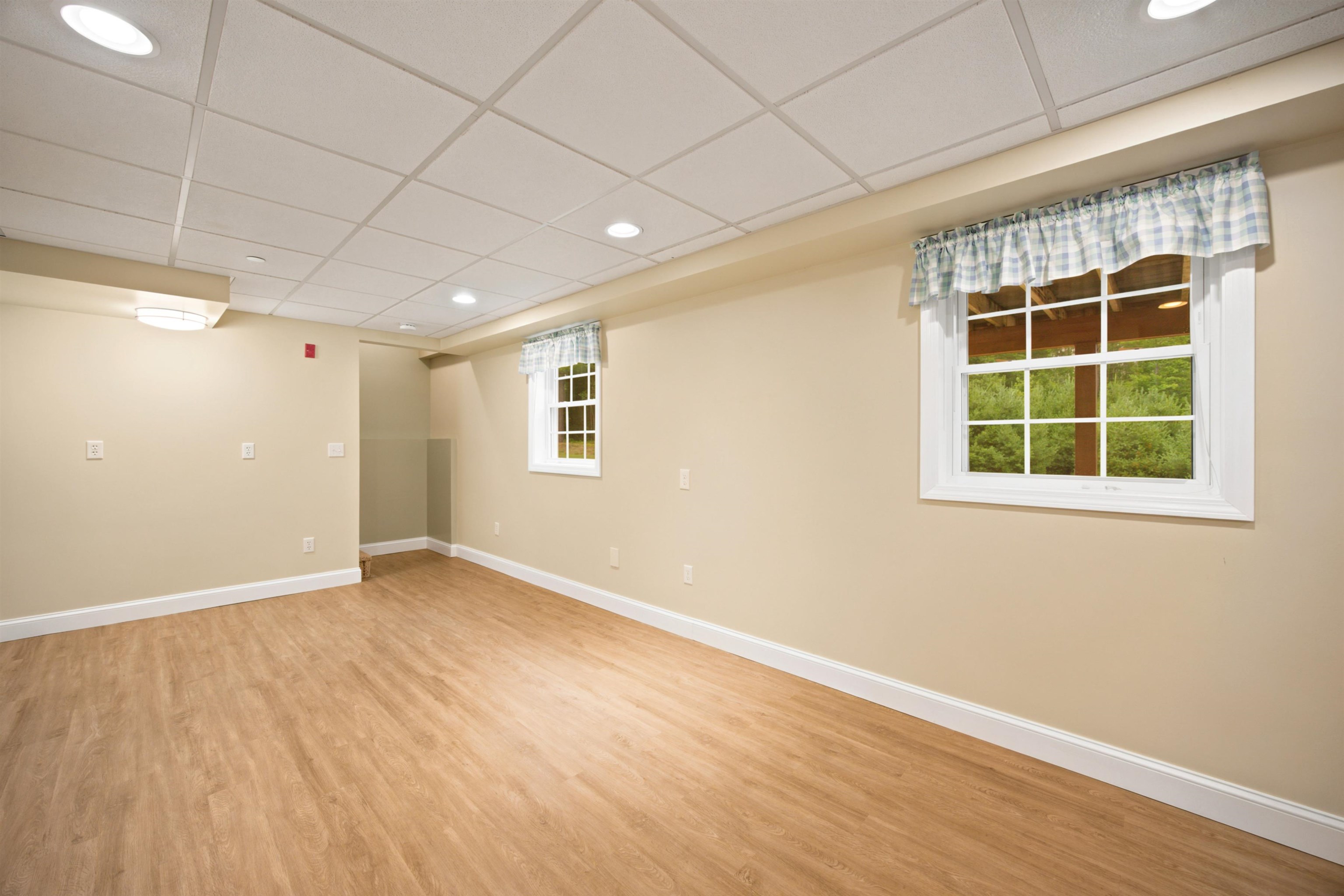 Finished Living Space in the Lower Level