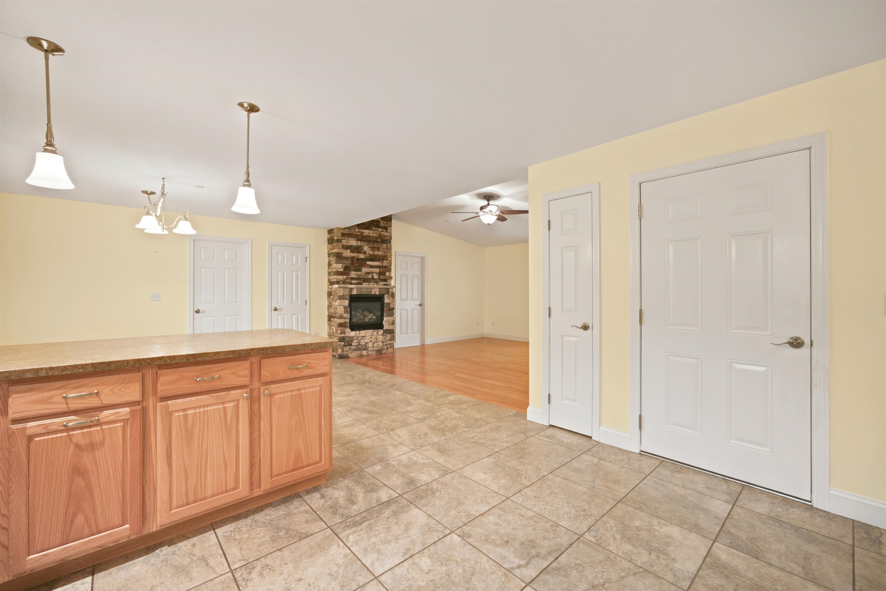 Open Concept Kitchen/Living/Dining