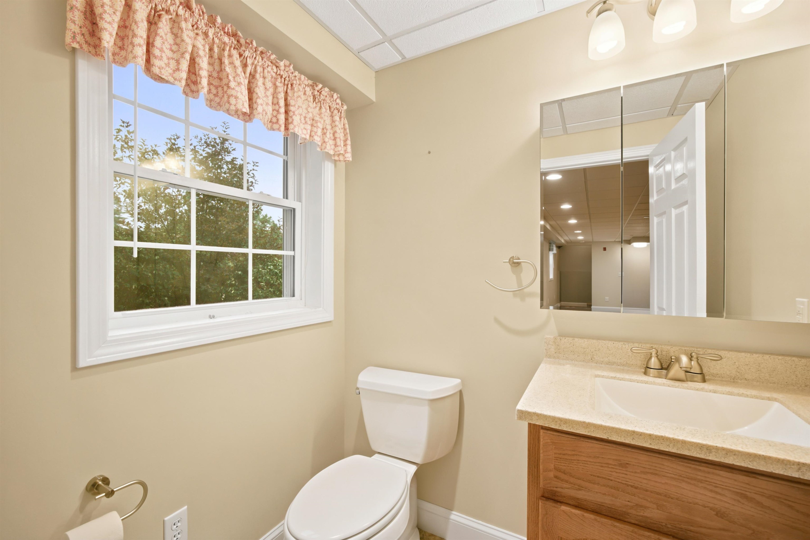 Lower Level Bath