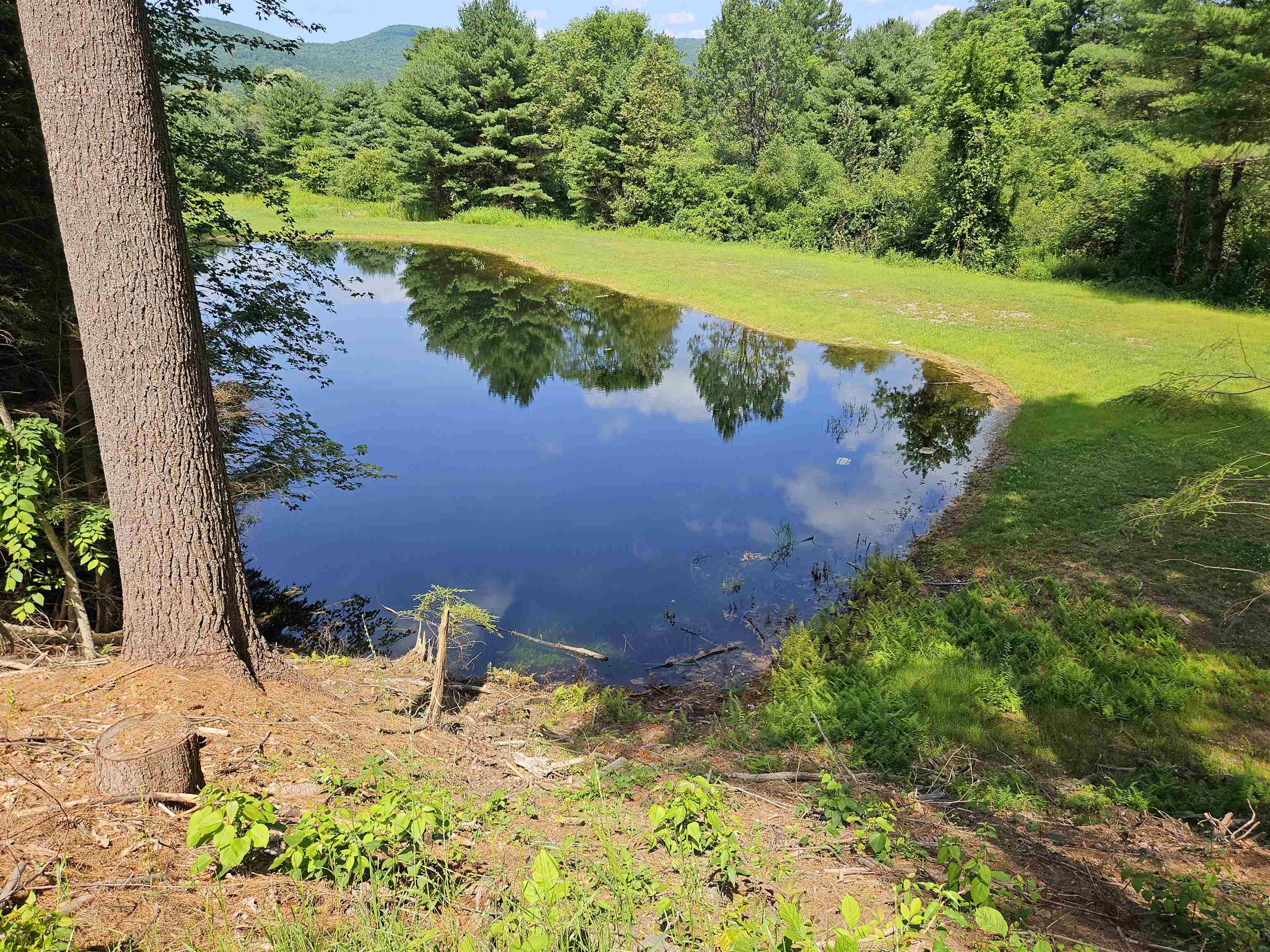 pond