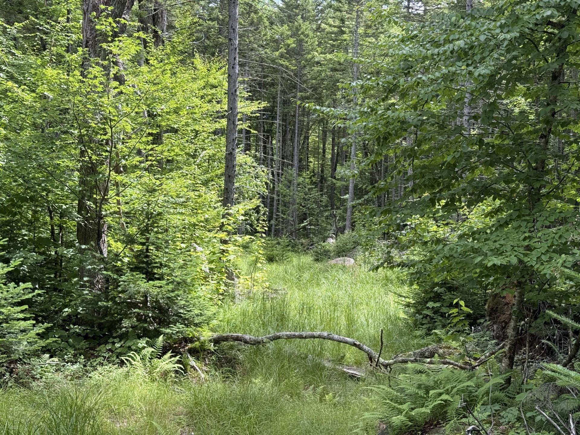 14-74 Grant Rd, Washington, NH 03280
