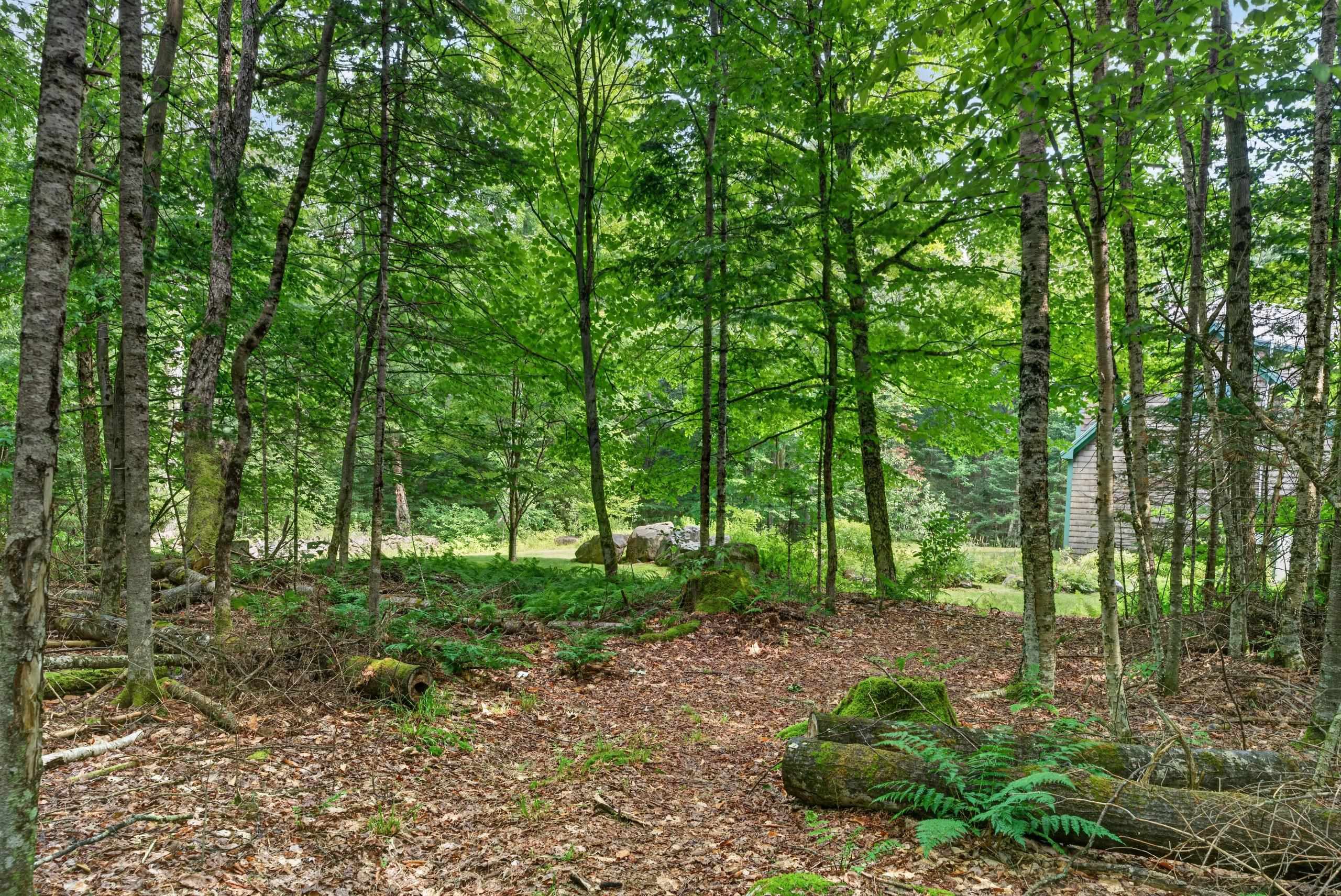 Neighbors Trail Not On Property