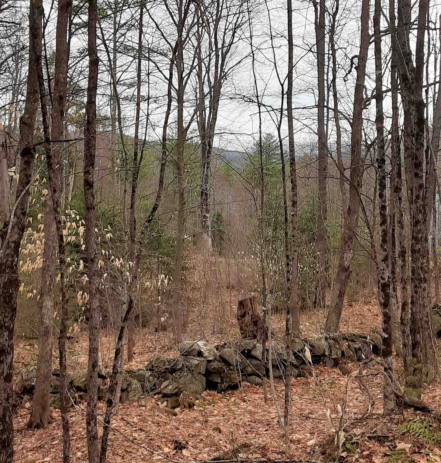 24 Stage Rd, Lempster, NH 03605