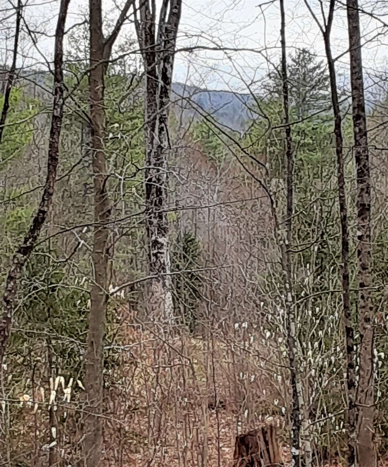 24 Stage Rd, Lempster, NH 03605