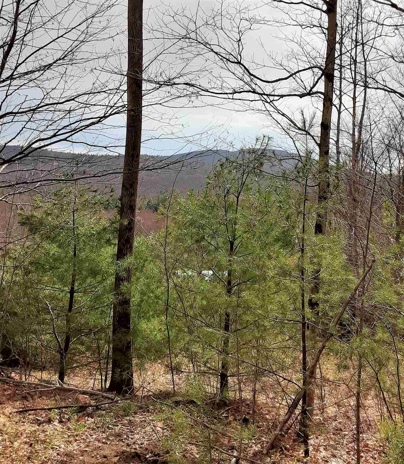 24 Stage Rd, Lempster, NH 03605