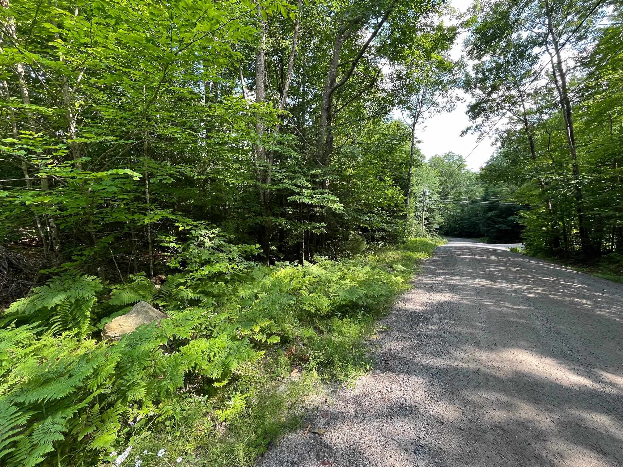 Map 204-Lot 153 Bear Rd, Haverhill, NH 03765
