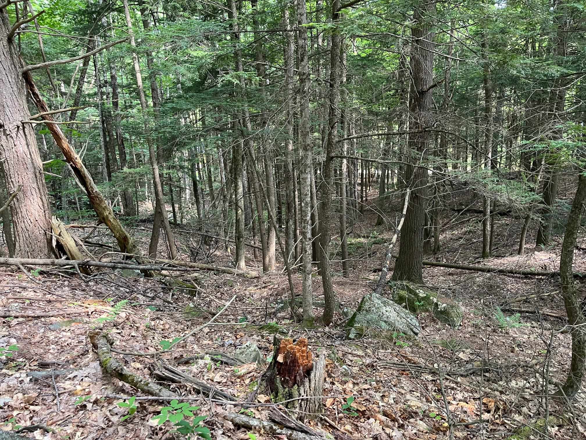 Map 204-Lot 153 Bear Rd, Haverhill, NH 03765