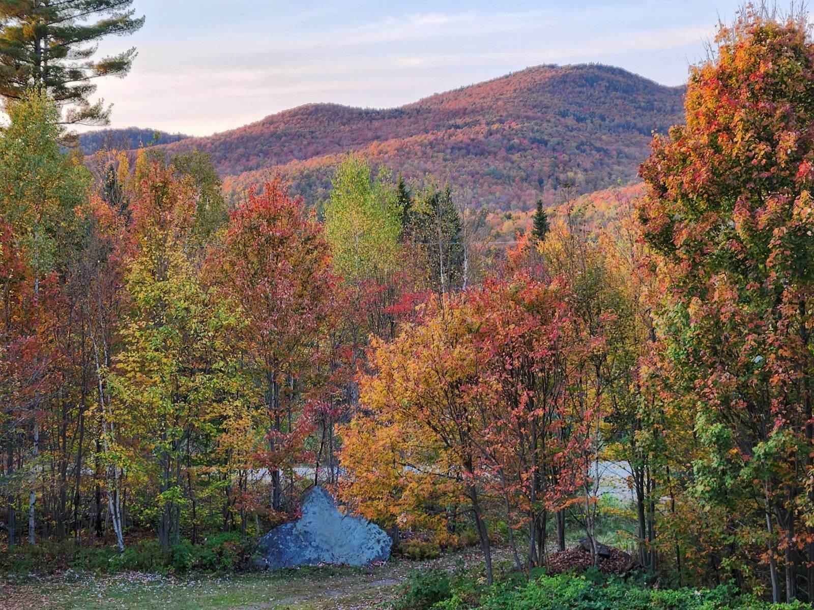 43 Holbrook Hill Rd, Stratford, NH 03590