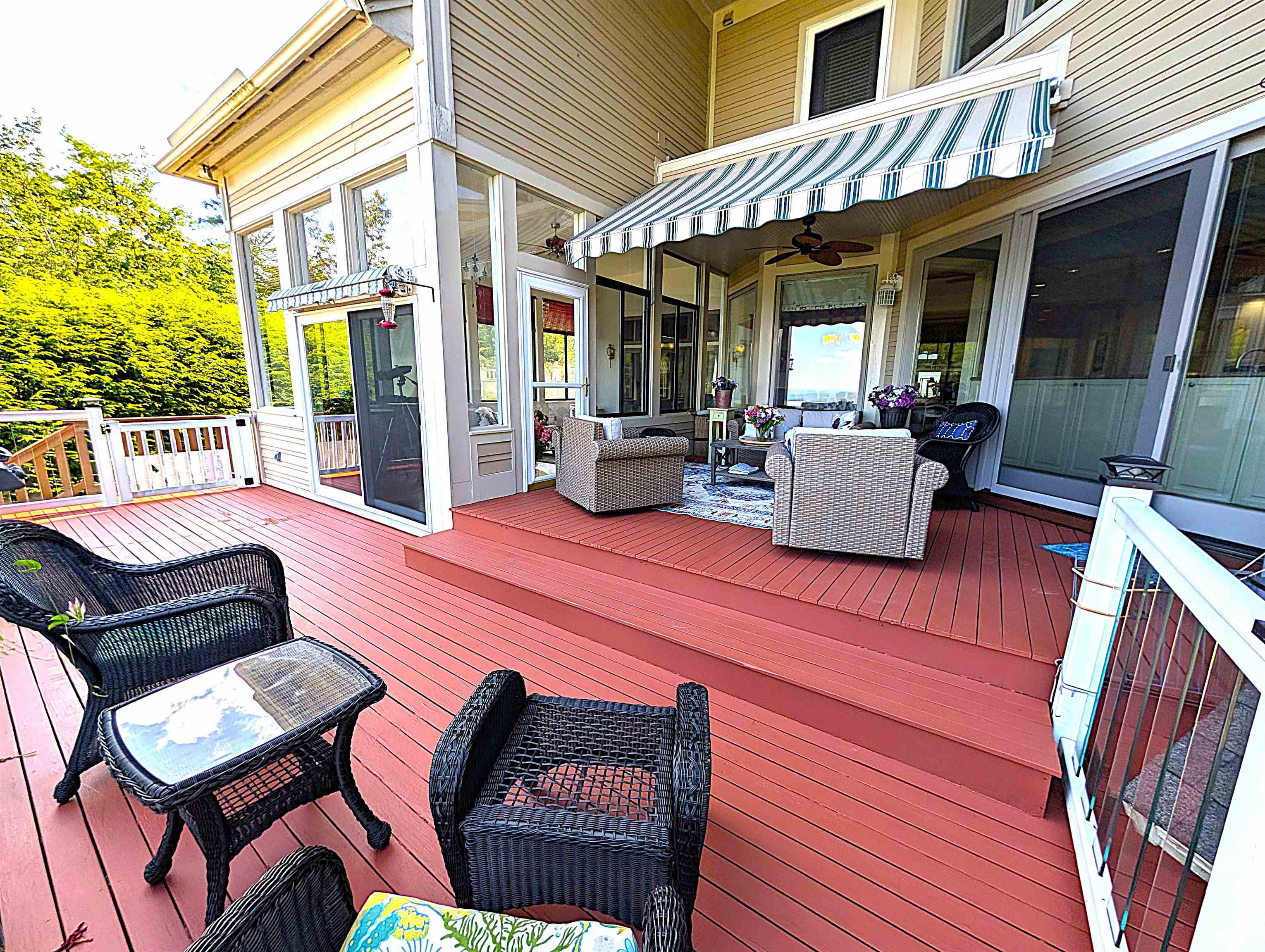 Freshly stained deck!