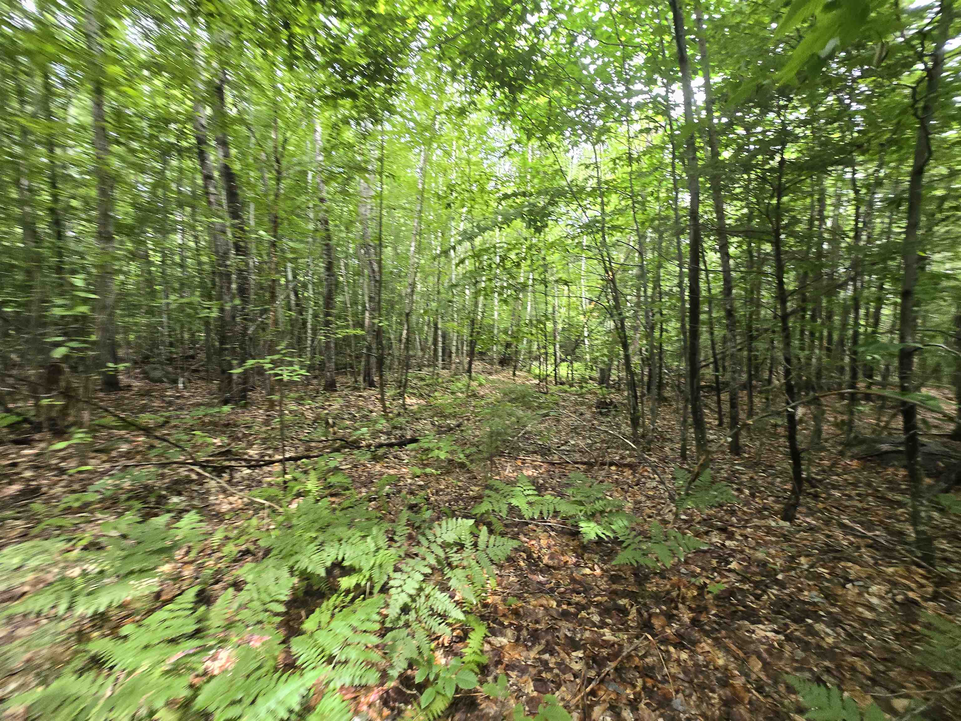 Lot 11 Brownfield Rd, Conway, NH 03813