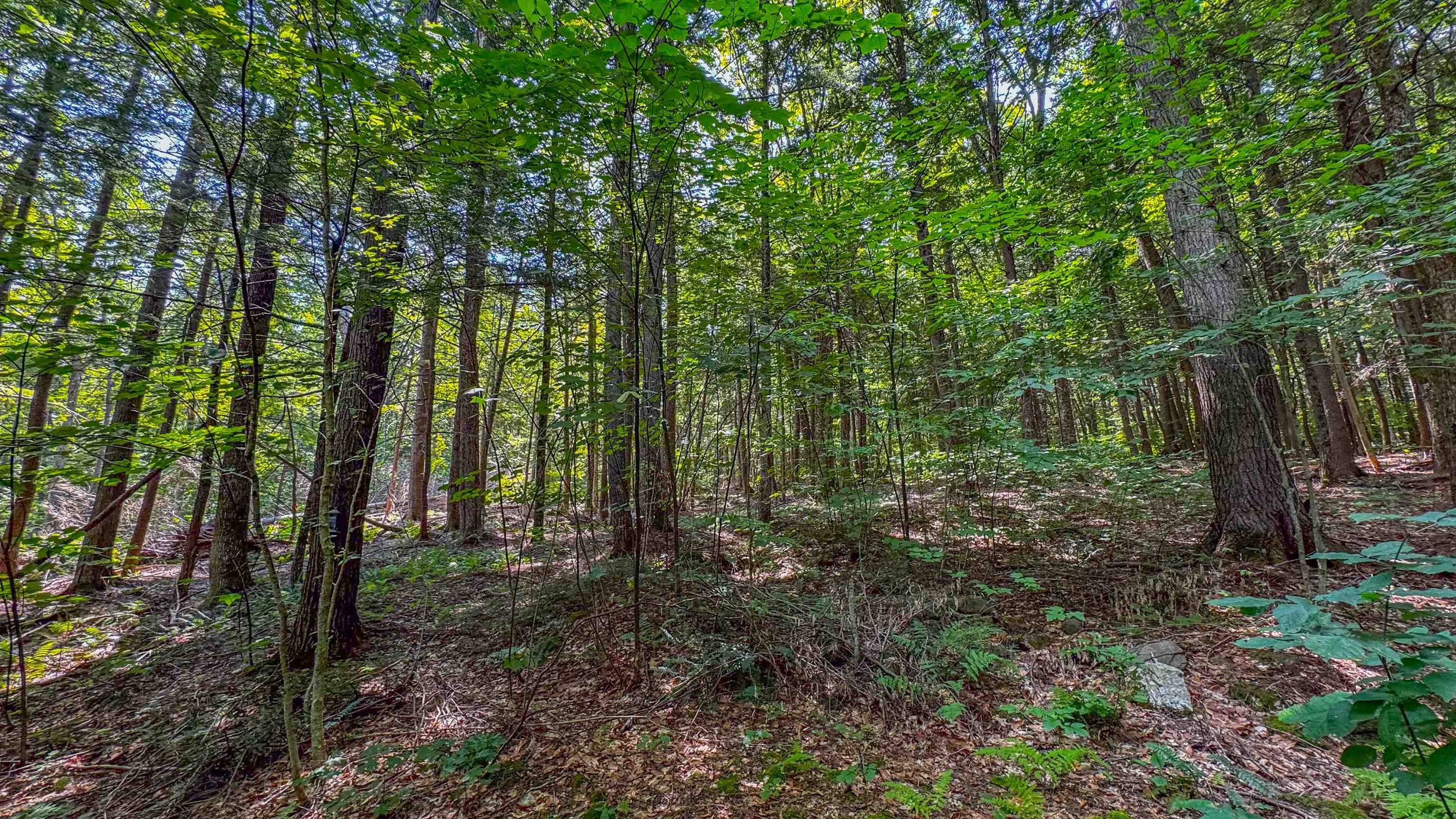148 Summit View Dr, Tamworth, NH 03886