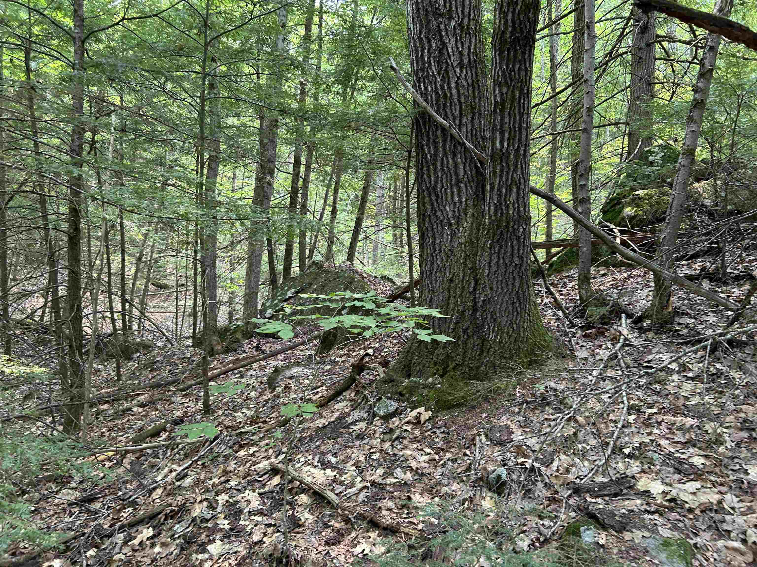 Windsor Terrace Rd, Concord, NH 03303