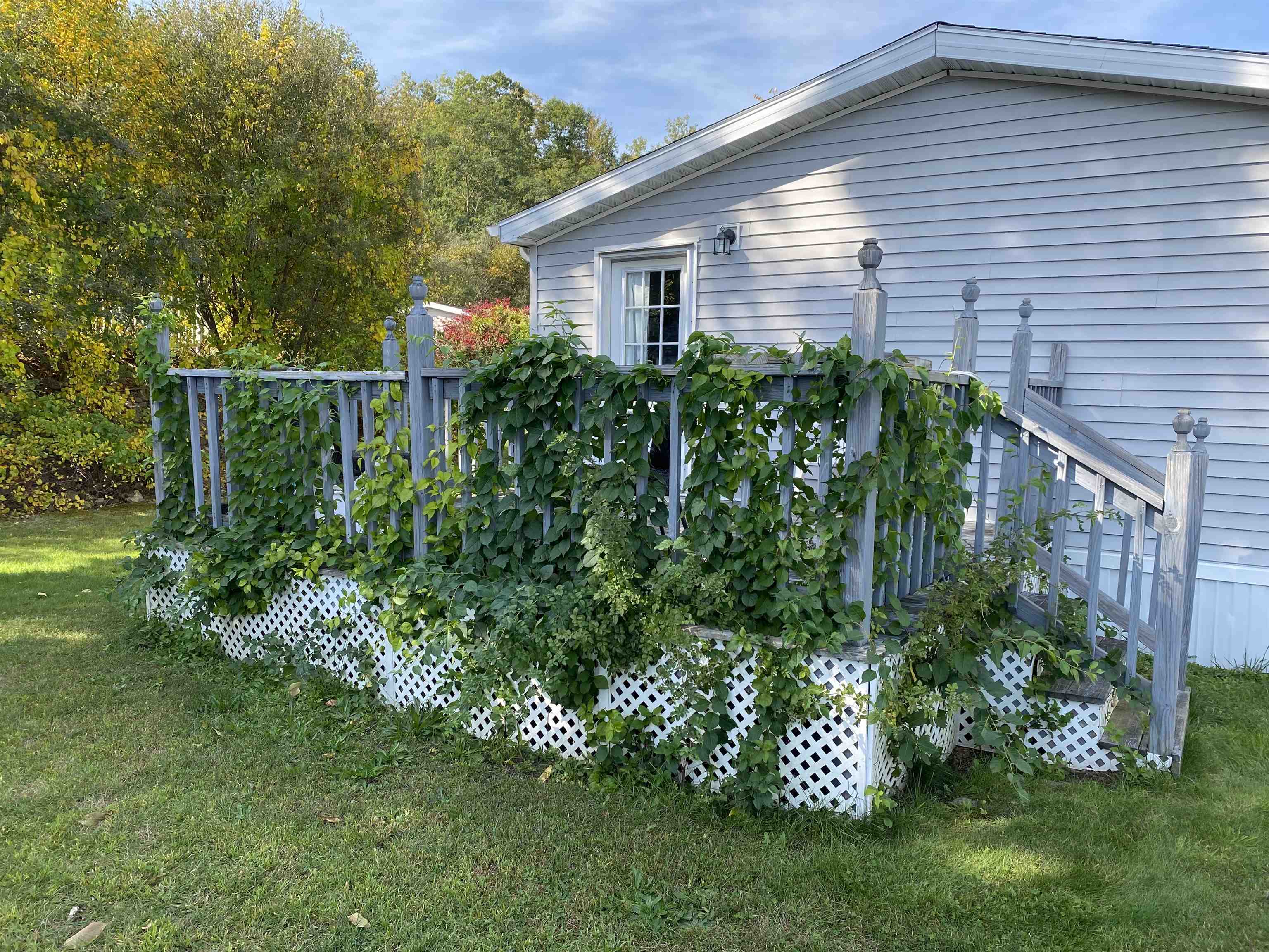 Photo 8 of 22