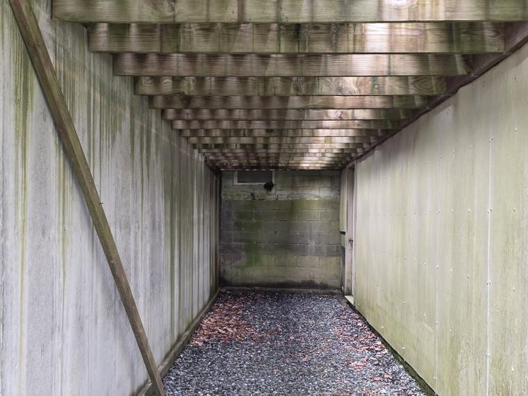 basement hallway walkout 25818724
