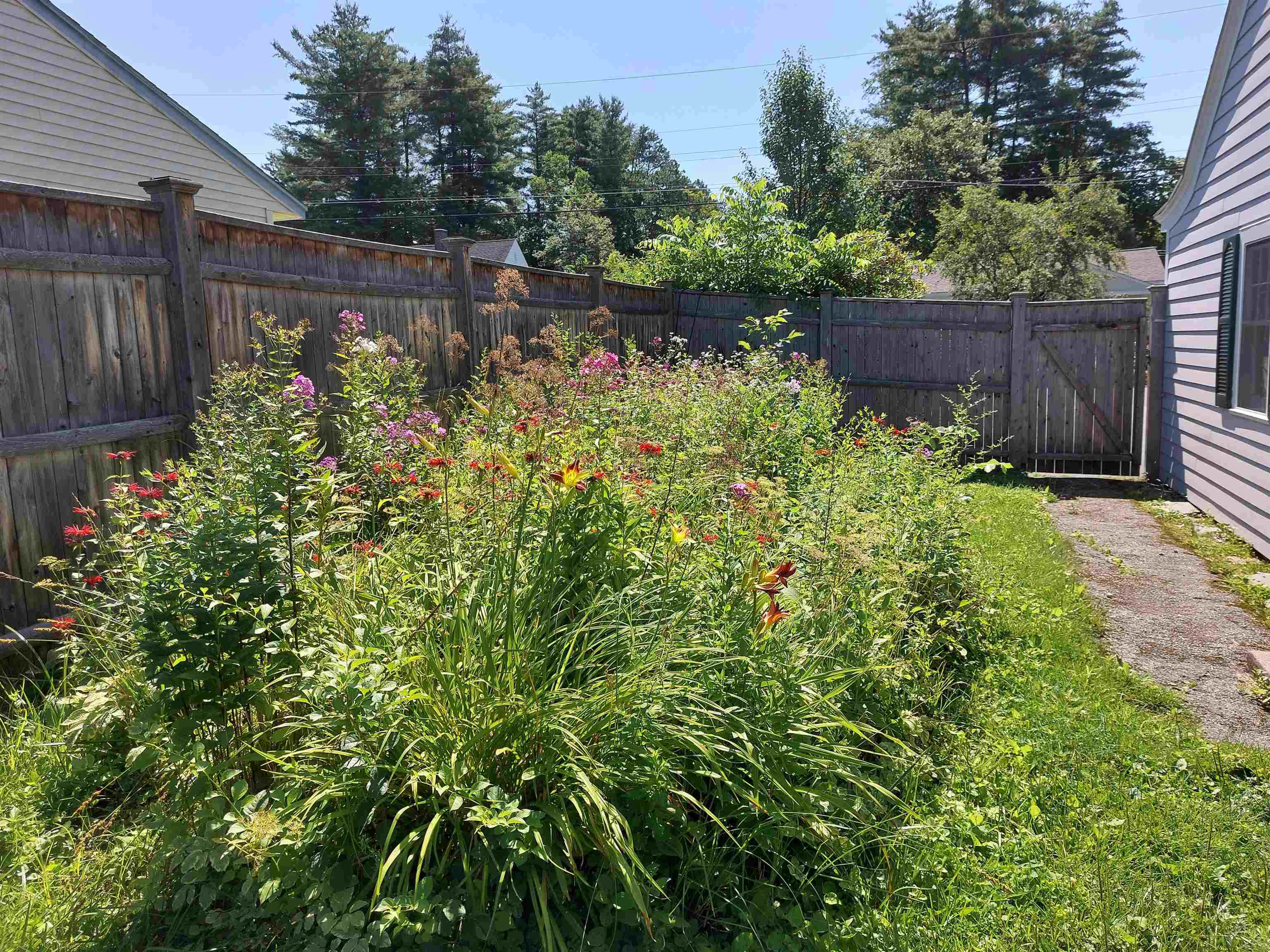Perennial Bed in Bloom