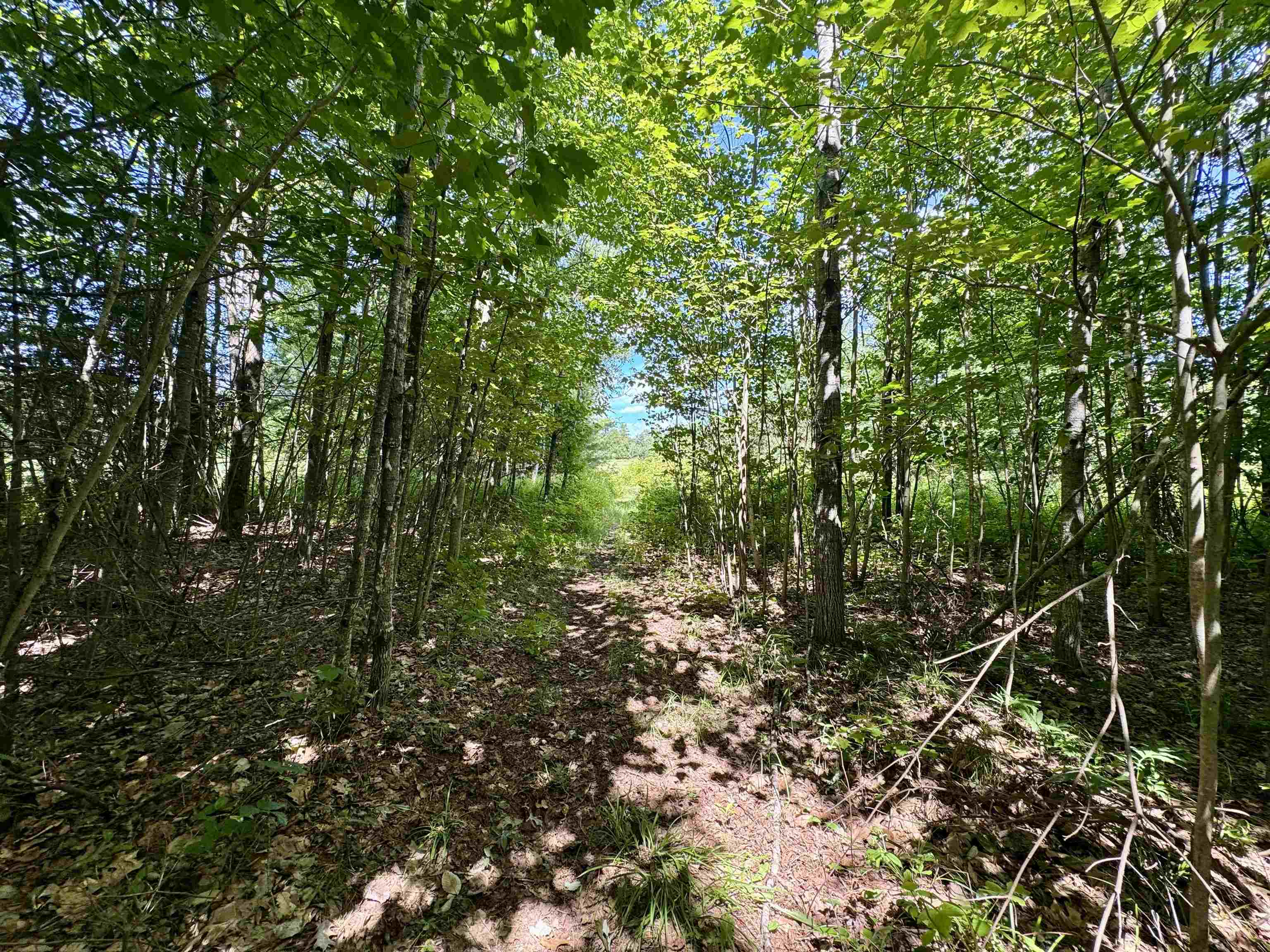 Cemetery Rd, Haverhill, NH 03765