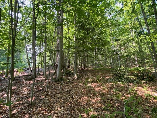 96 Nelson Hill Rd, Sutton, NH 03221