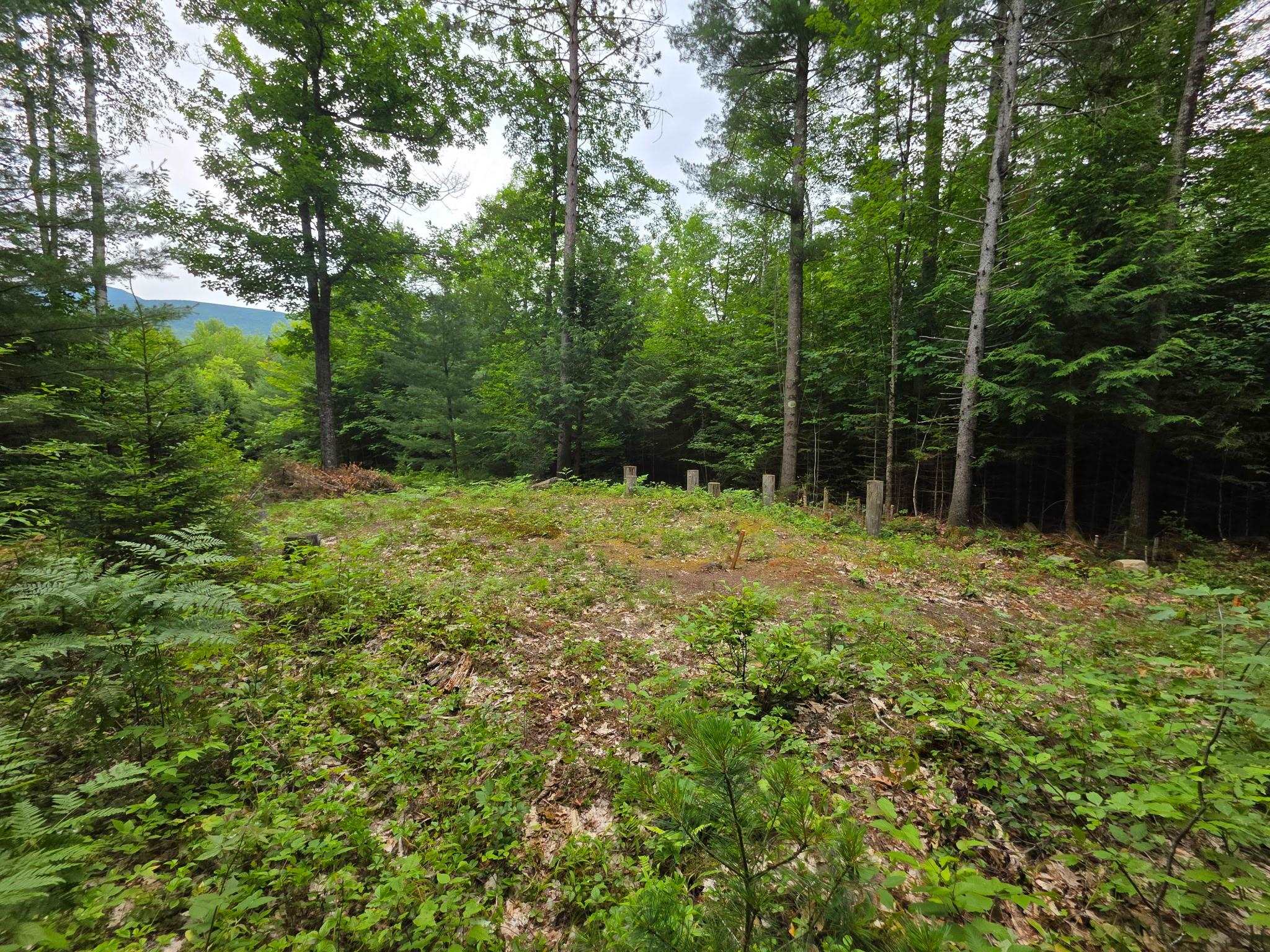 00 Stimson Rd, Warren, NH 03279