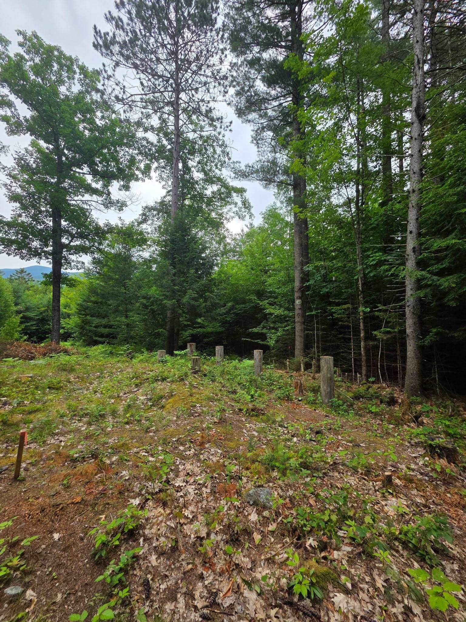 00 Stimson Rd, Warren, NH 03279