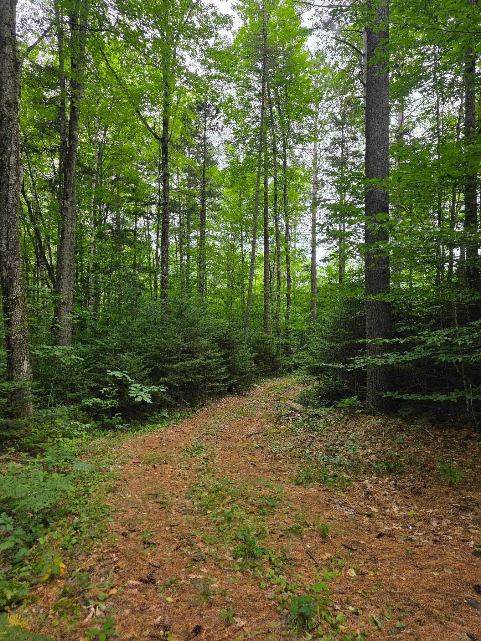 00 Stimson Rd, Warren, NH 03279