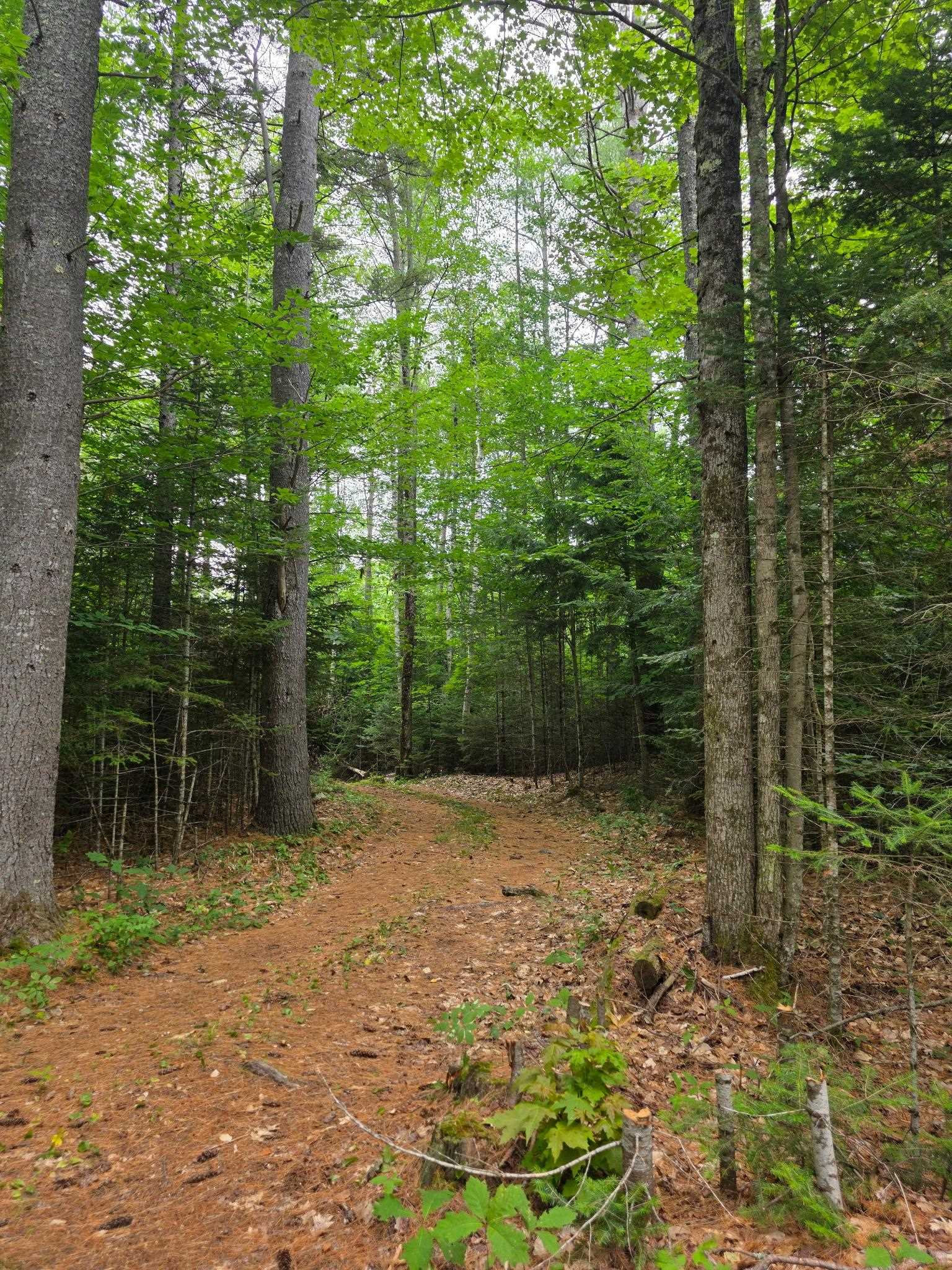 00 Stimson Rd, Warren, NH 03279