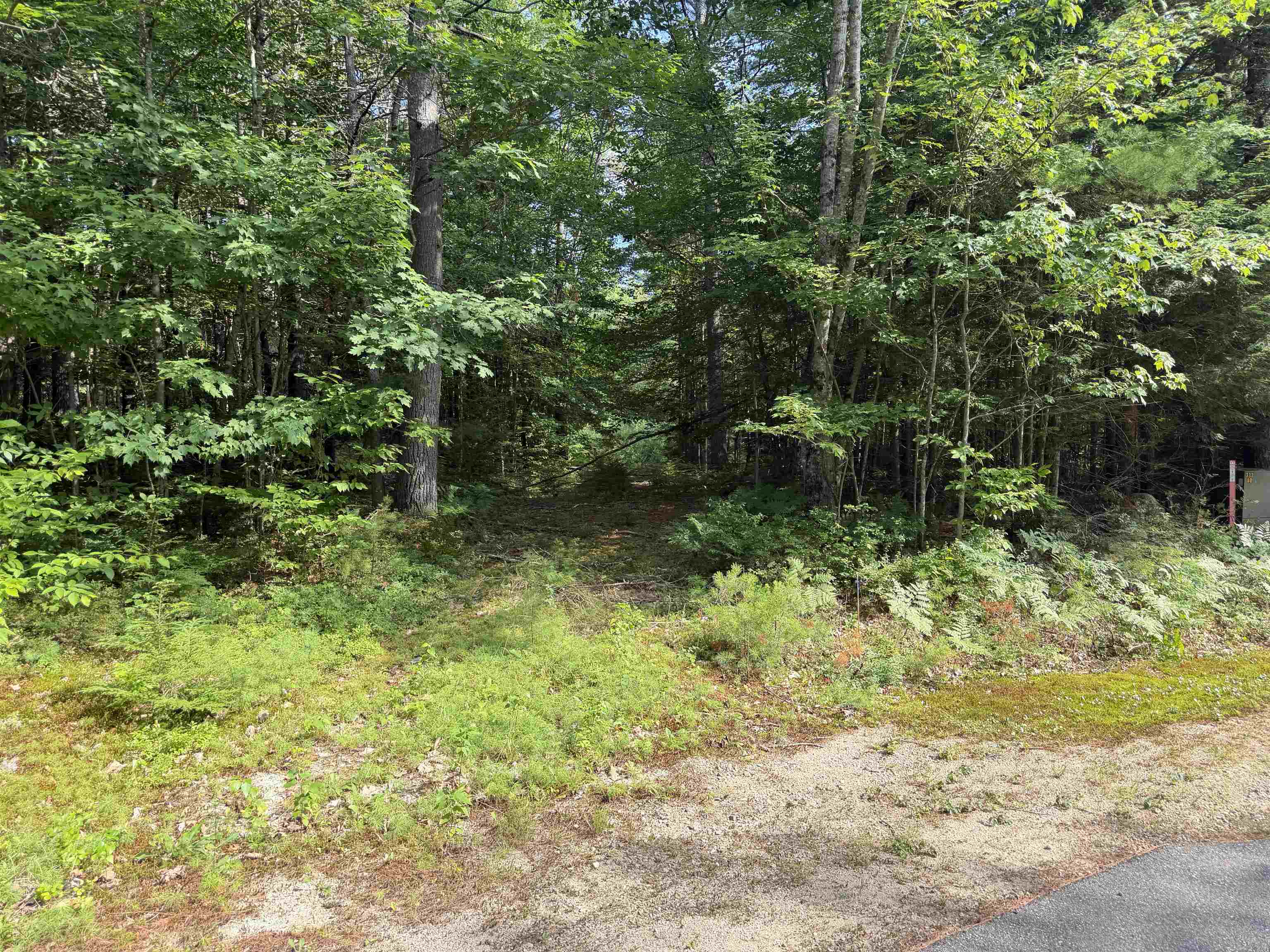 000 Alden Washburn Dr, Tamworth, NH 03886