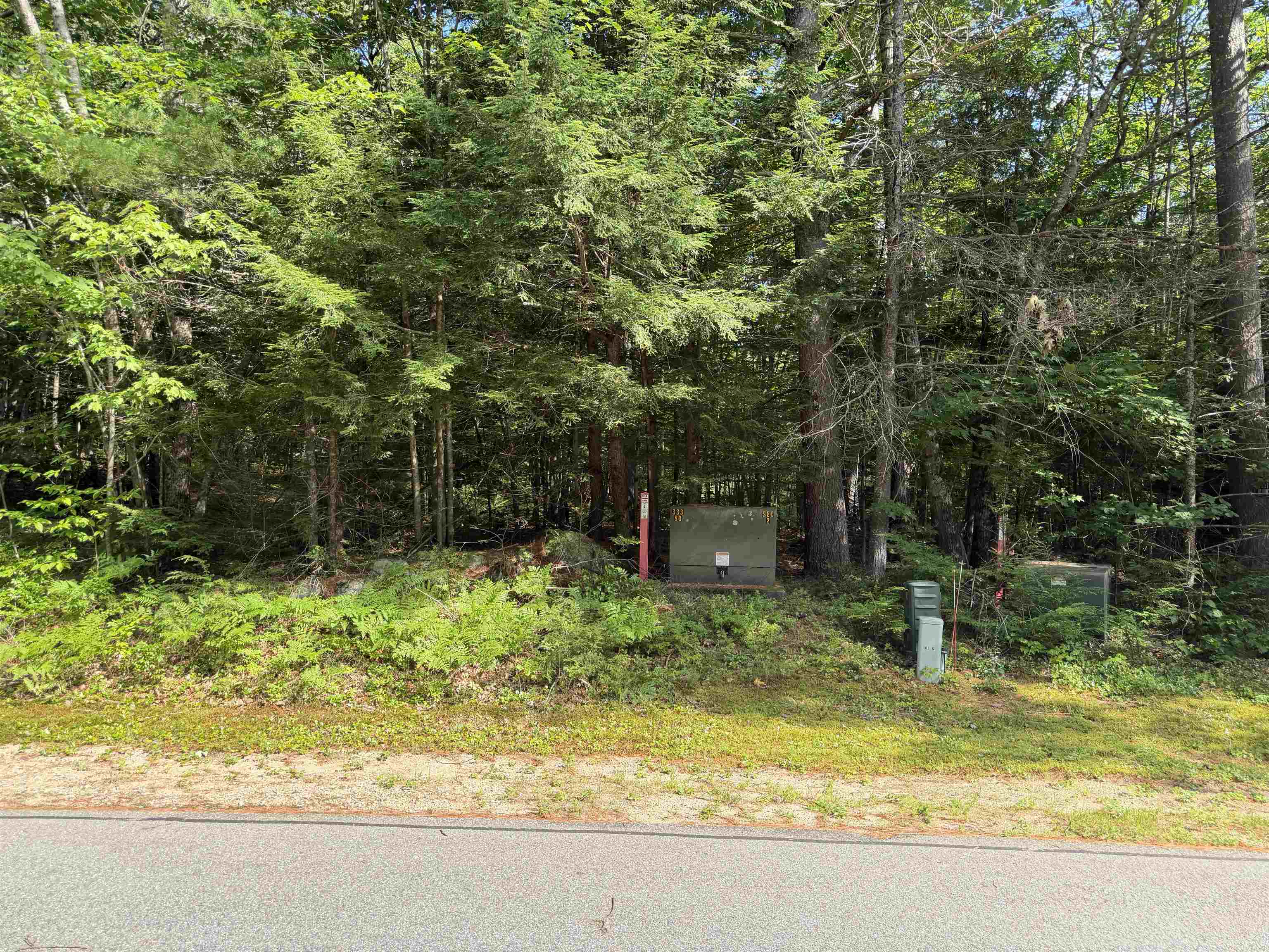 000 Alden Washburn Dr, Tamworth, NH 03886