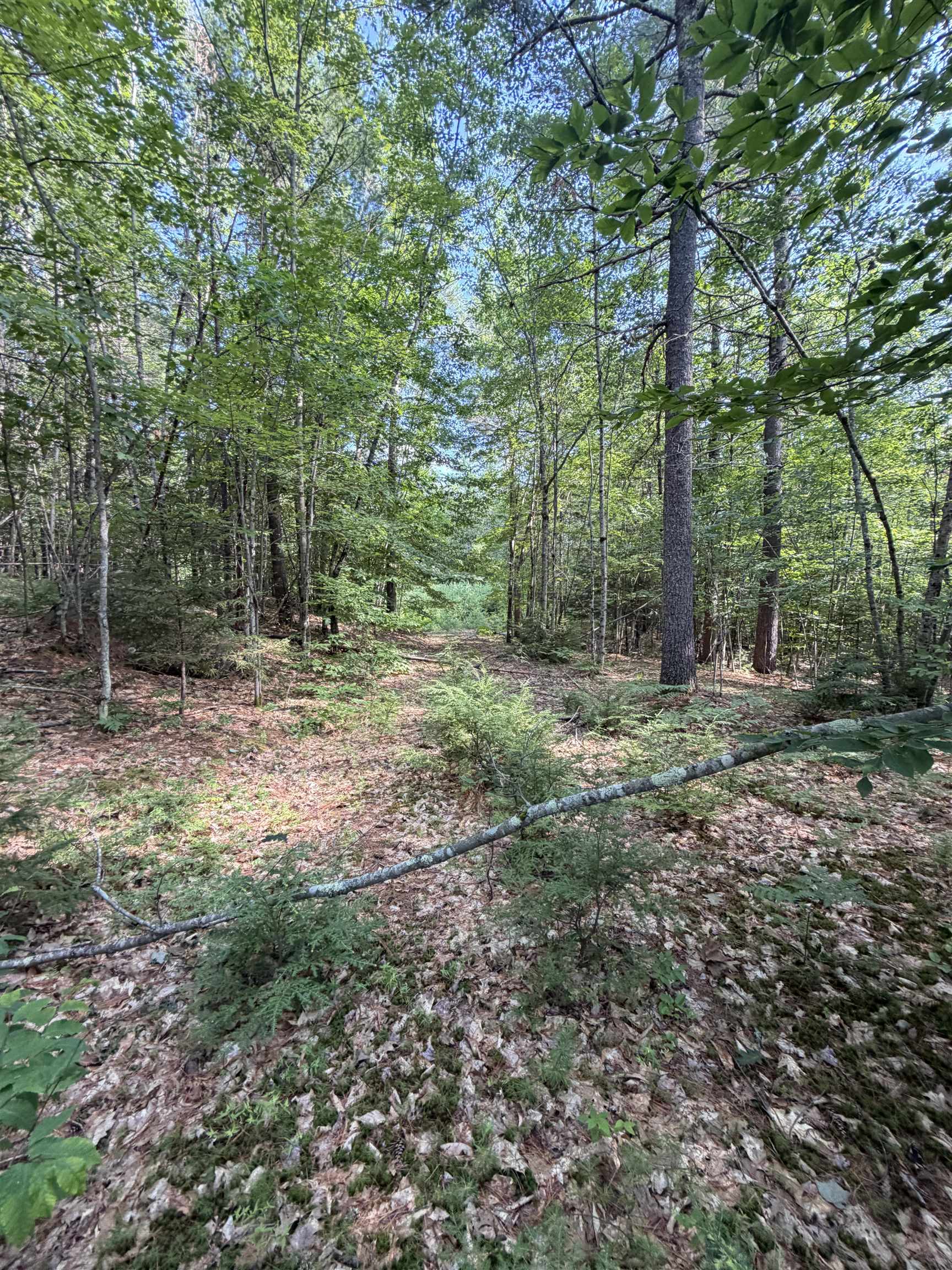 000 Alden Washburn Dr, Tamworth, NH 03886