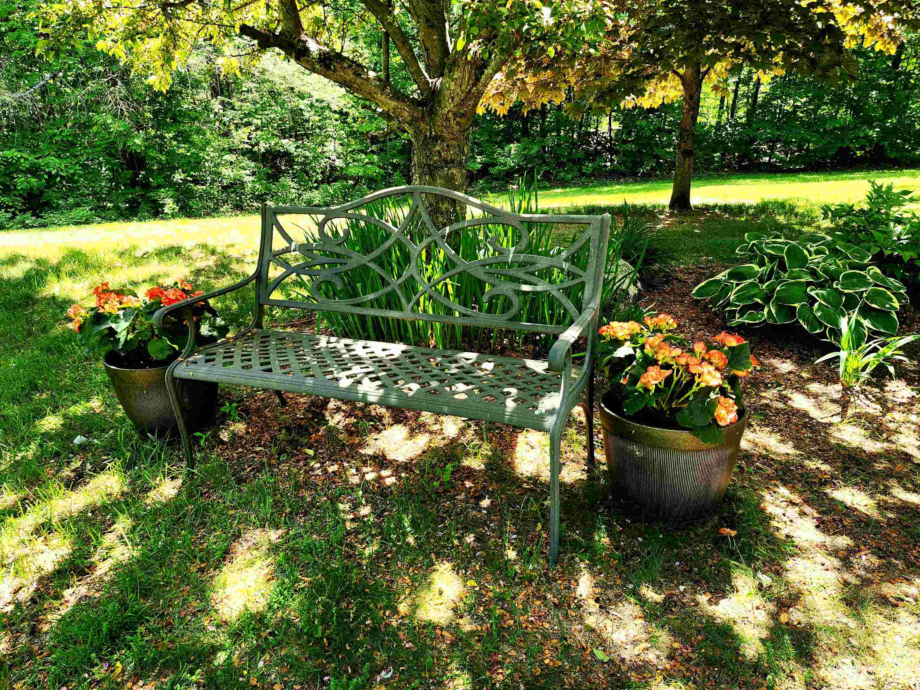 Tranquil Setting