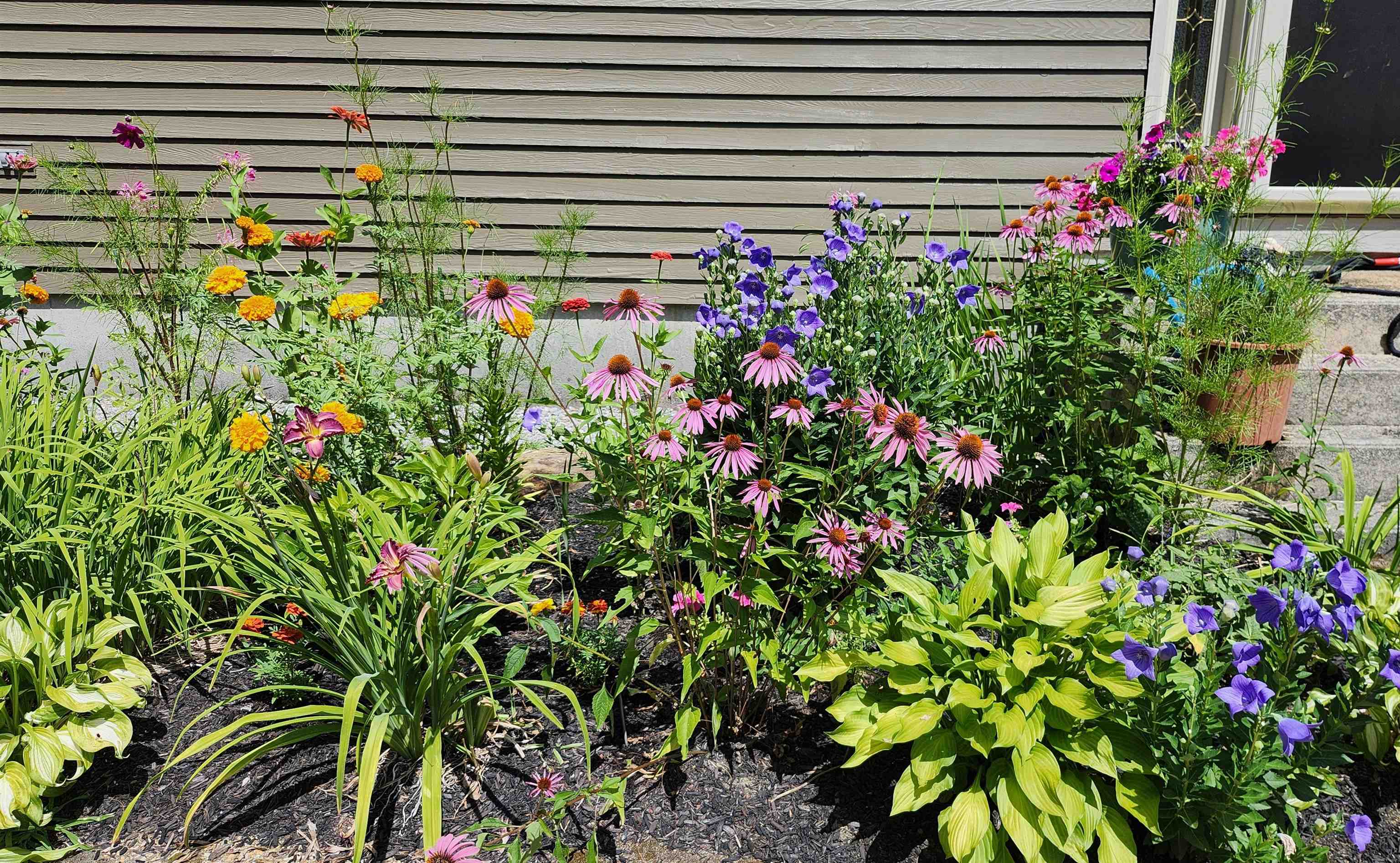 Gardens