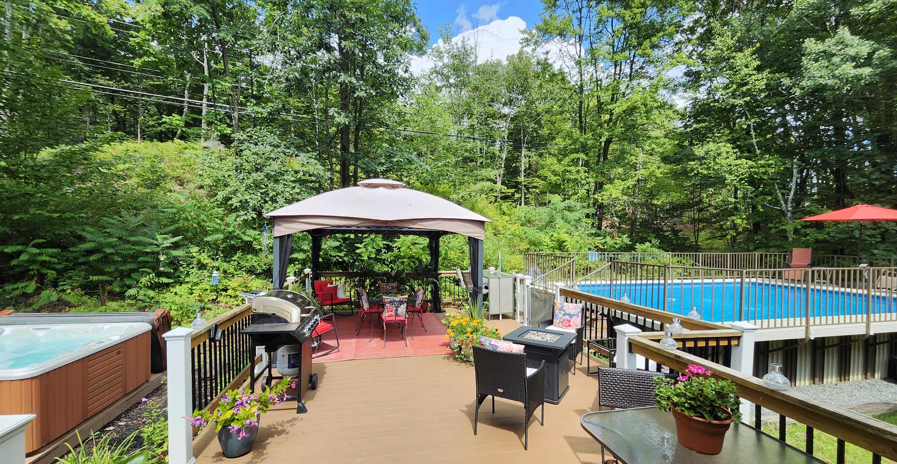 Backyard Oasis