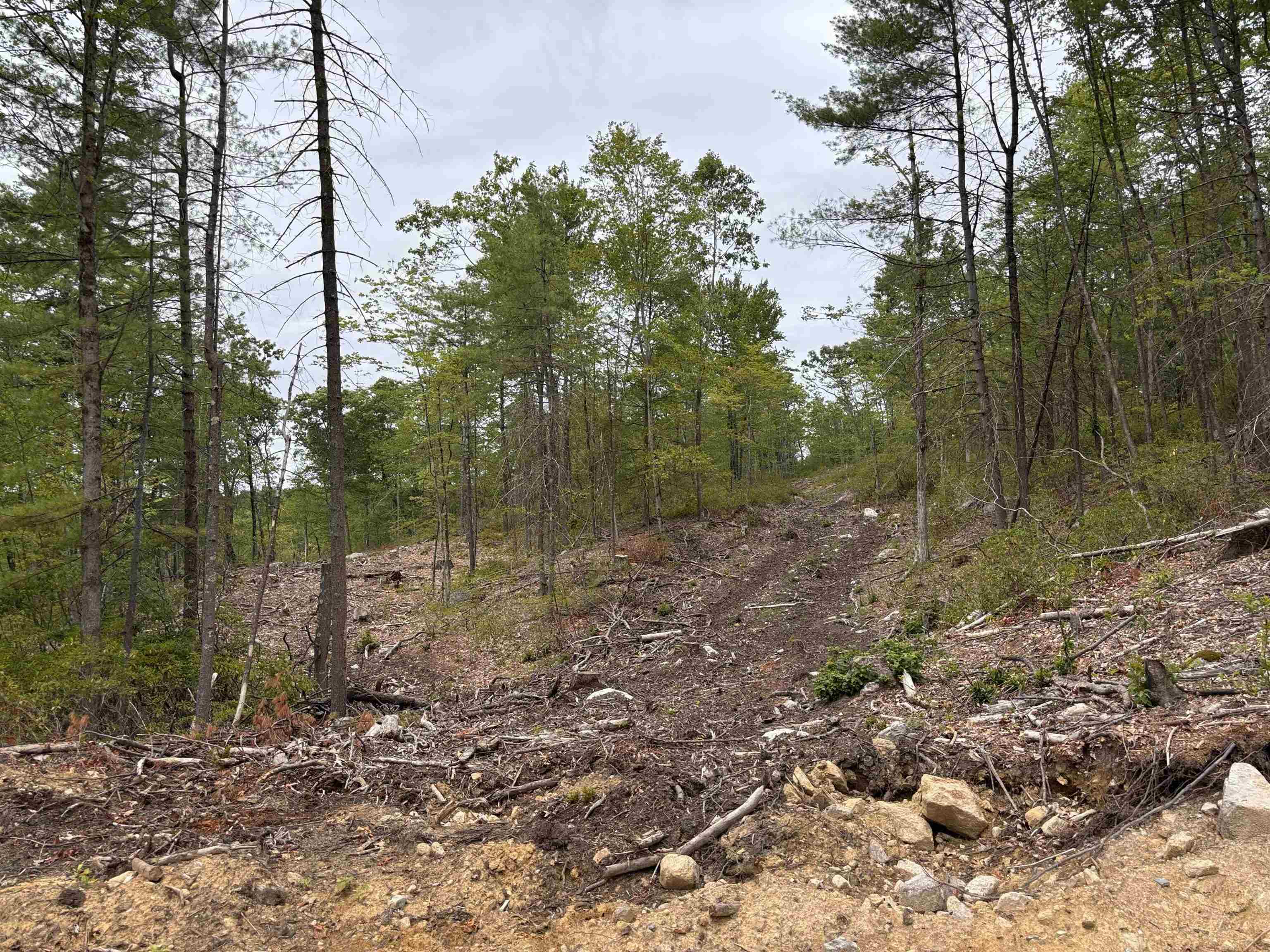 M13 L7 Tower Hill Rd, Hinsdale, NH 03451